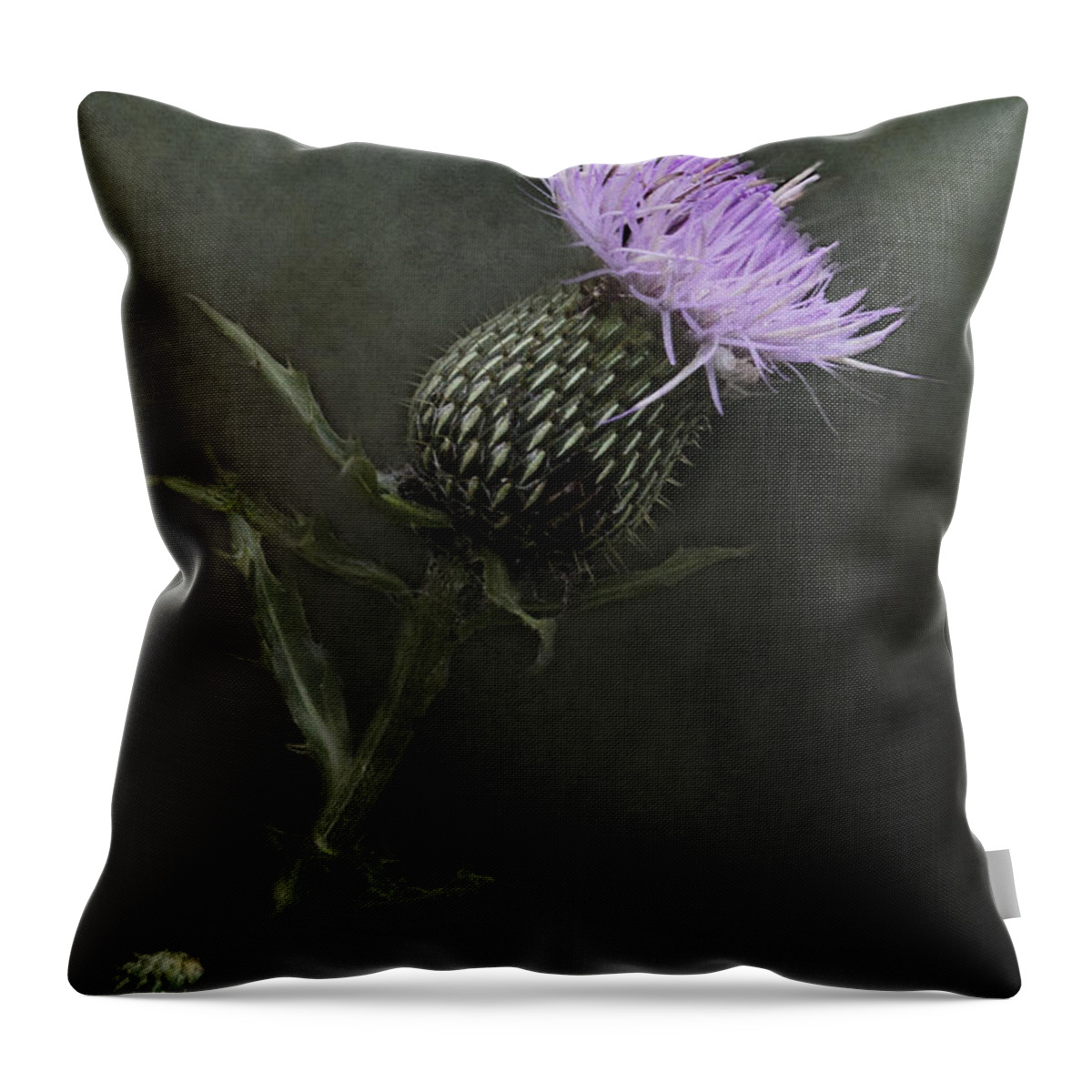 Thistle Throw Pillow featuring the photograph Bull Thistle Bloom by Pam Holdsworth