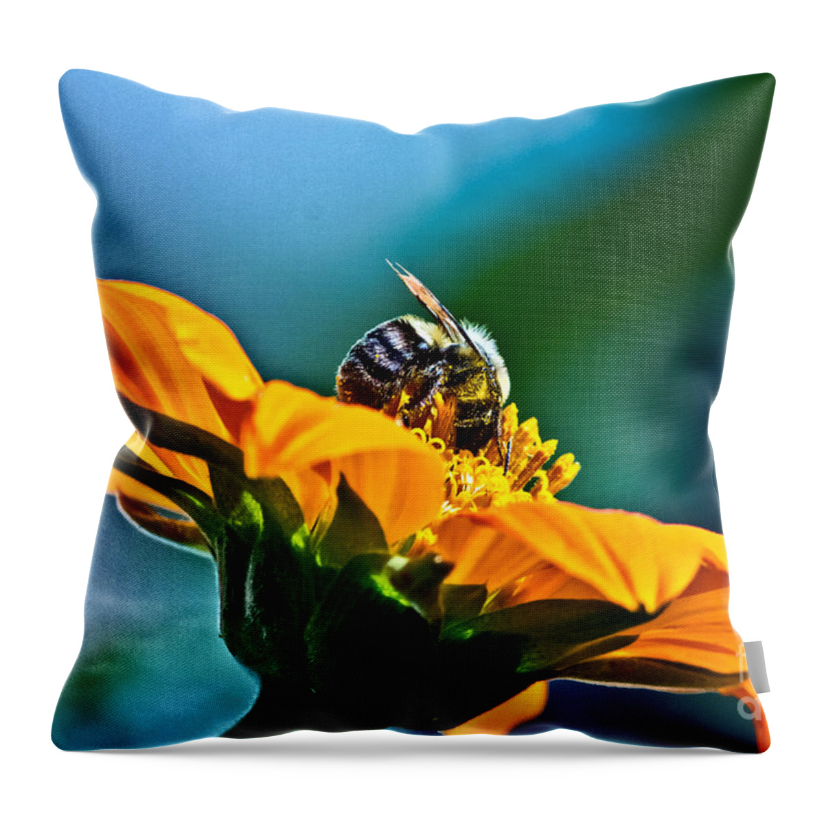 Insect Throw Pillow featuring the photograph Bumble Bee I by Ms Judi