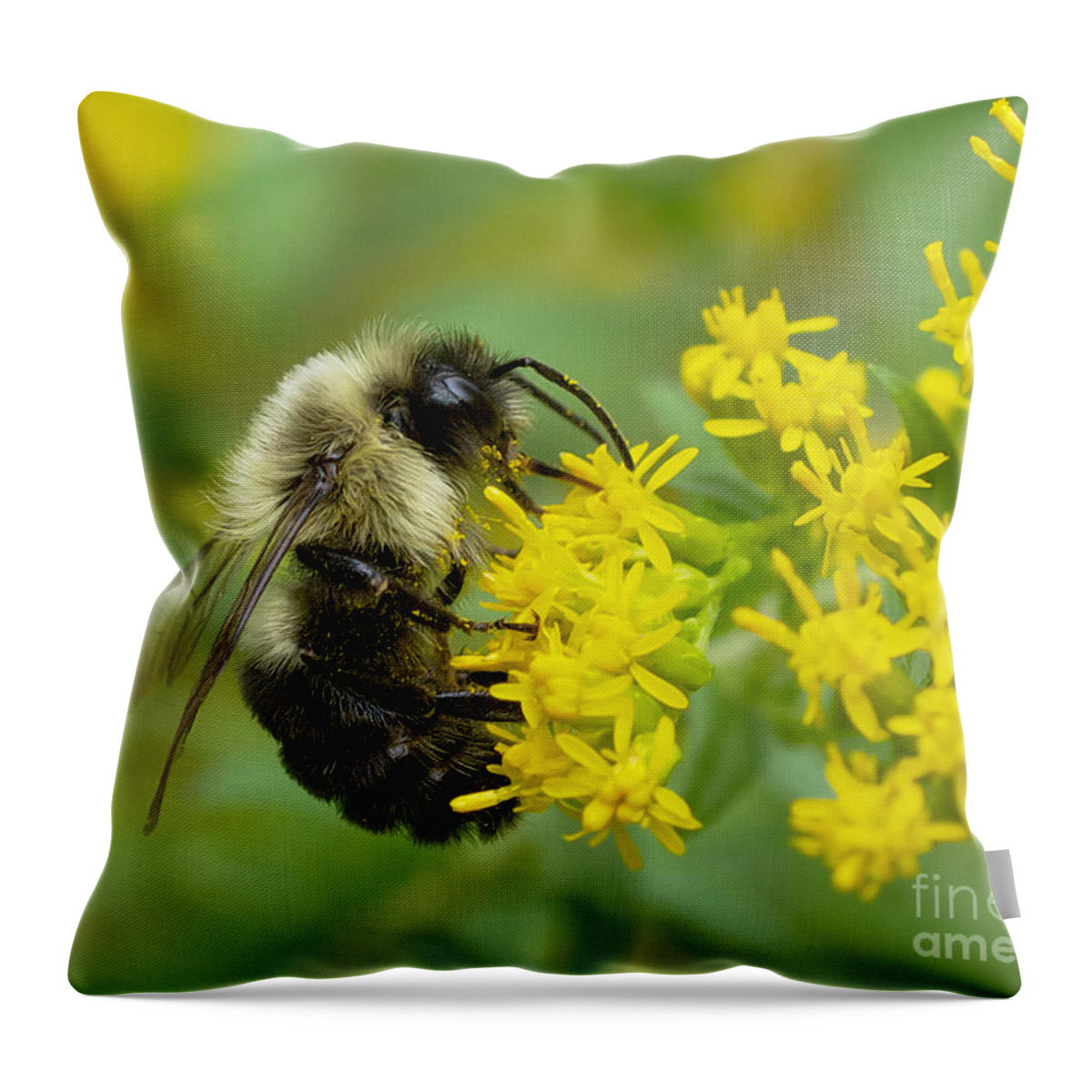 Bumble Throw Pillow featuring the photograph Bumble Bee by Mark Miller