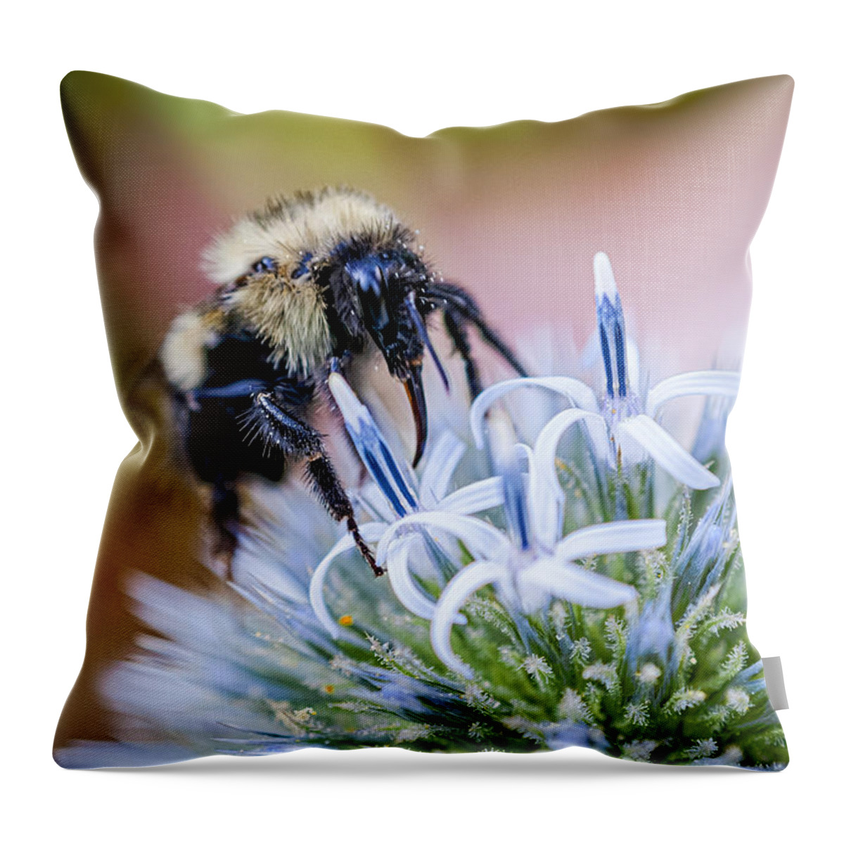 Thistle Throw Pillow featuring the photograph Bumblebee on Thistle Blossom by Marty Saccone