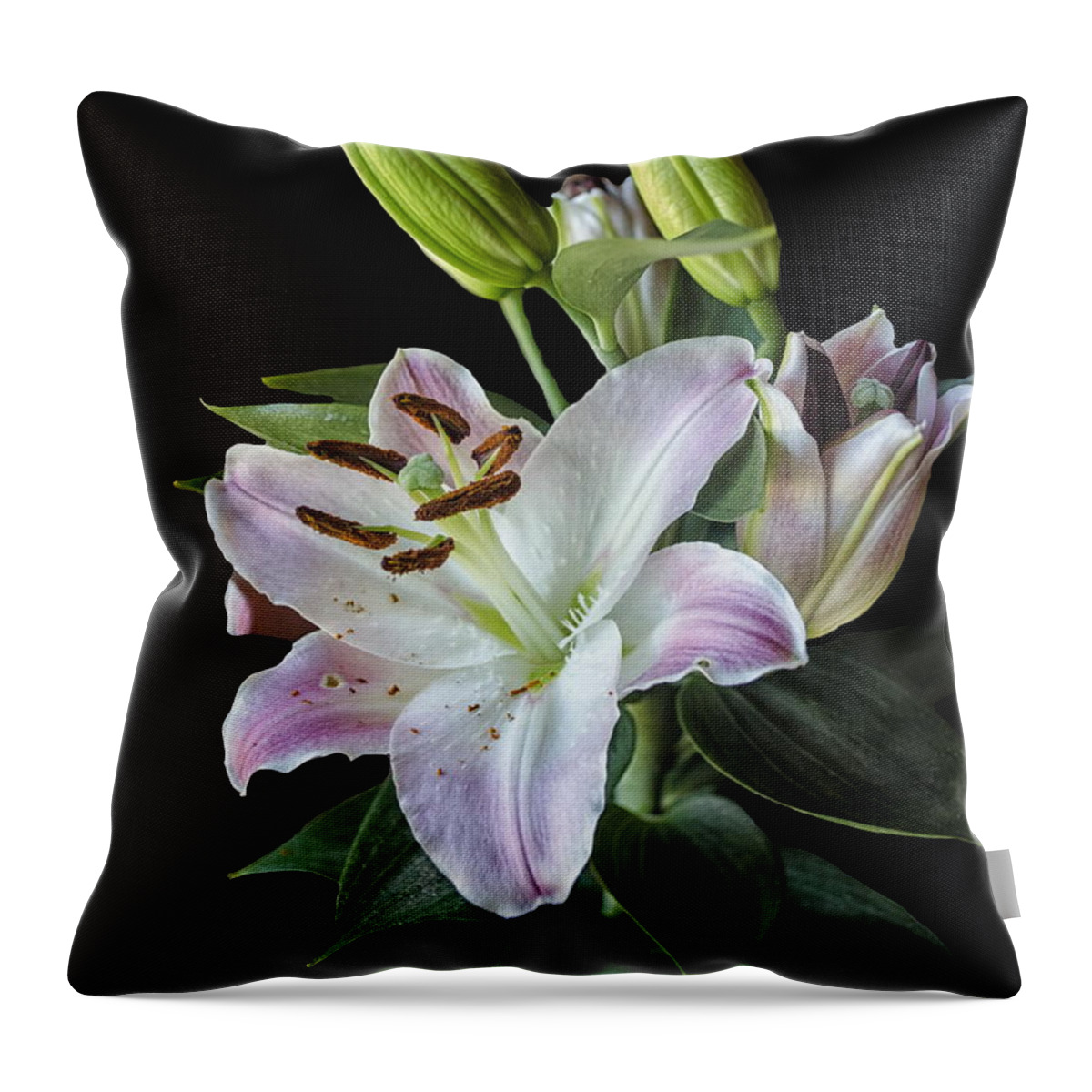 Michelle Meenawong Throw Pillow featuring the photograph Bunch by Michelle Meenawong