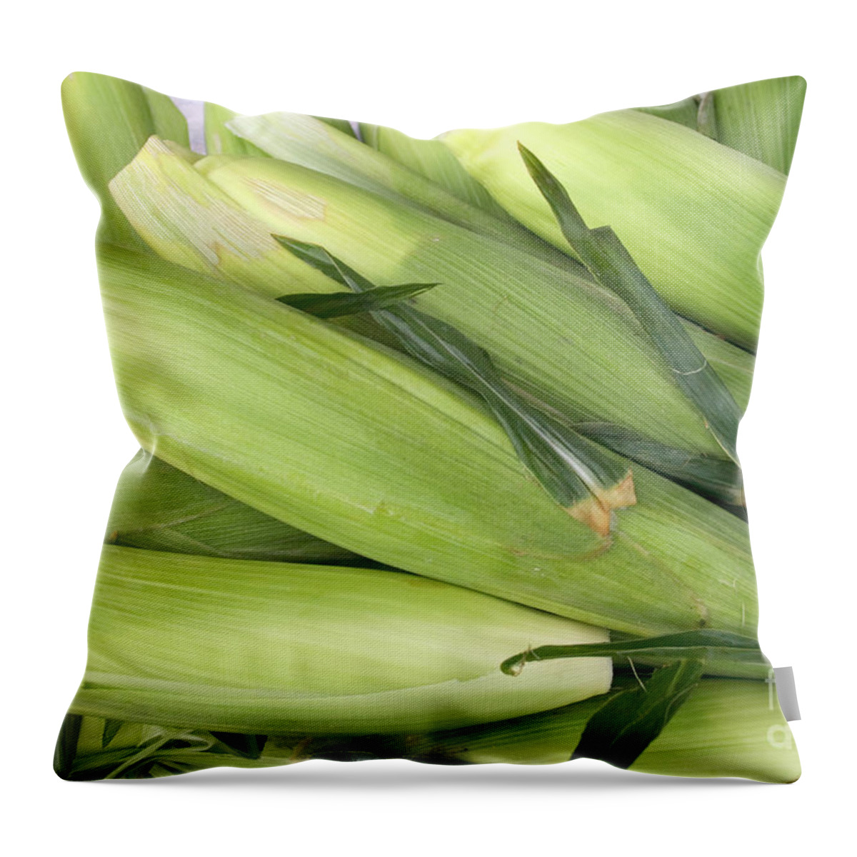 Corn Throw Pillow featuring the photograph Bunch of corn in husk by James BO Insogna