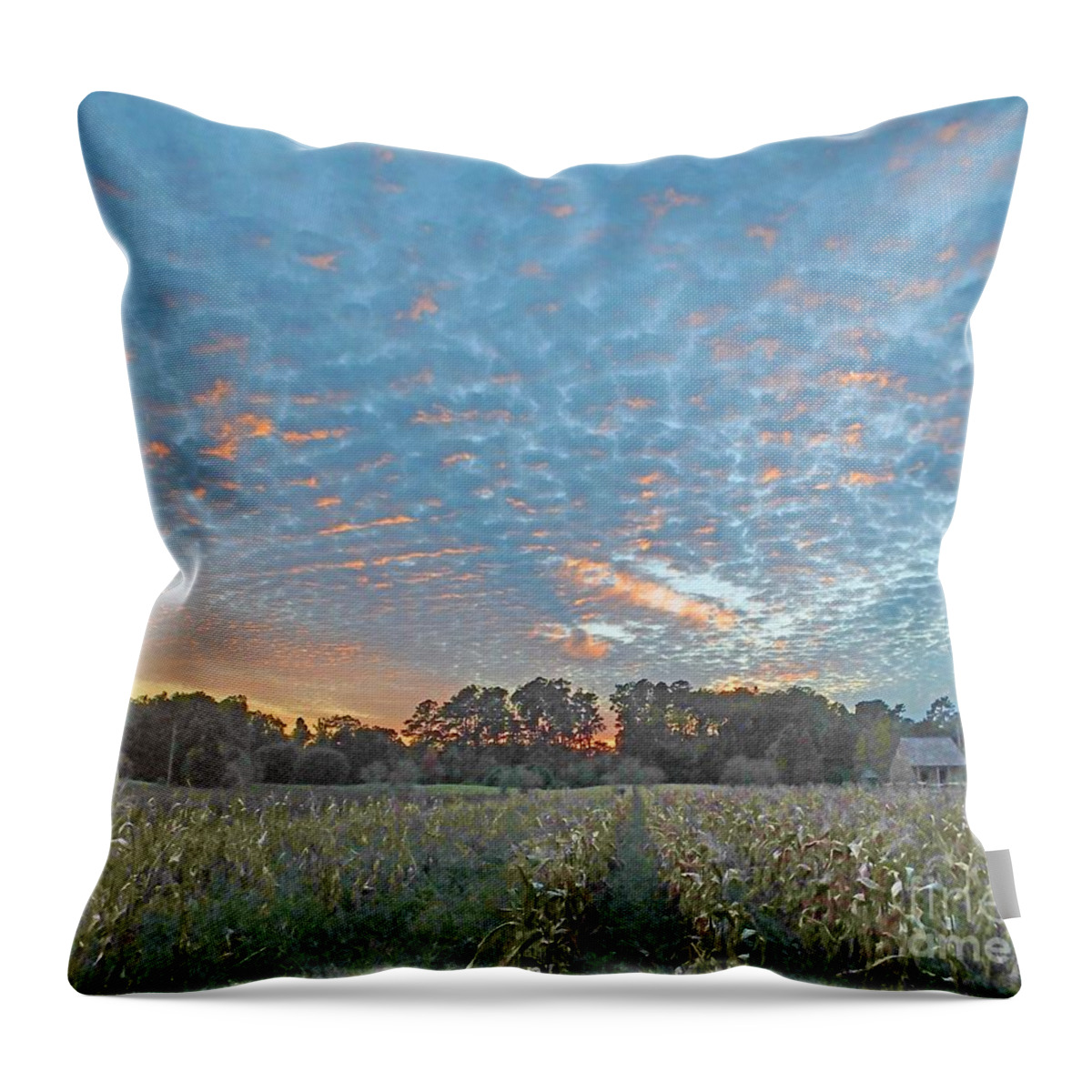 Landscape Throw Pillow featuring the digital art Burden Rural Life Center Center Cornfield Baton Rouge Louisiana by Lizi Beard-Ward