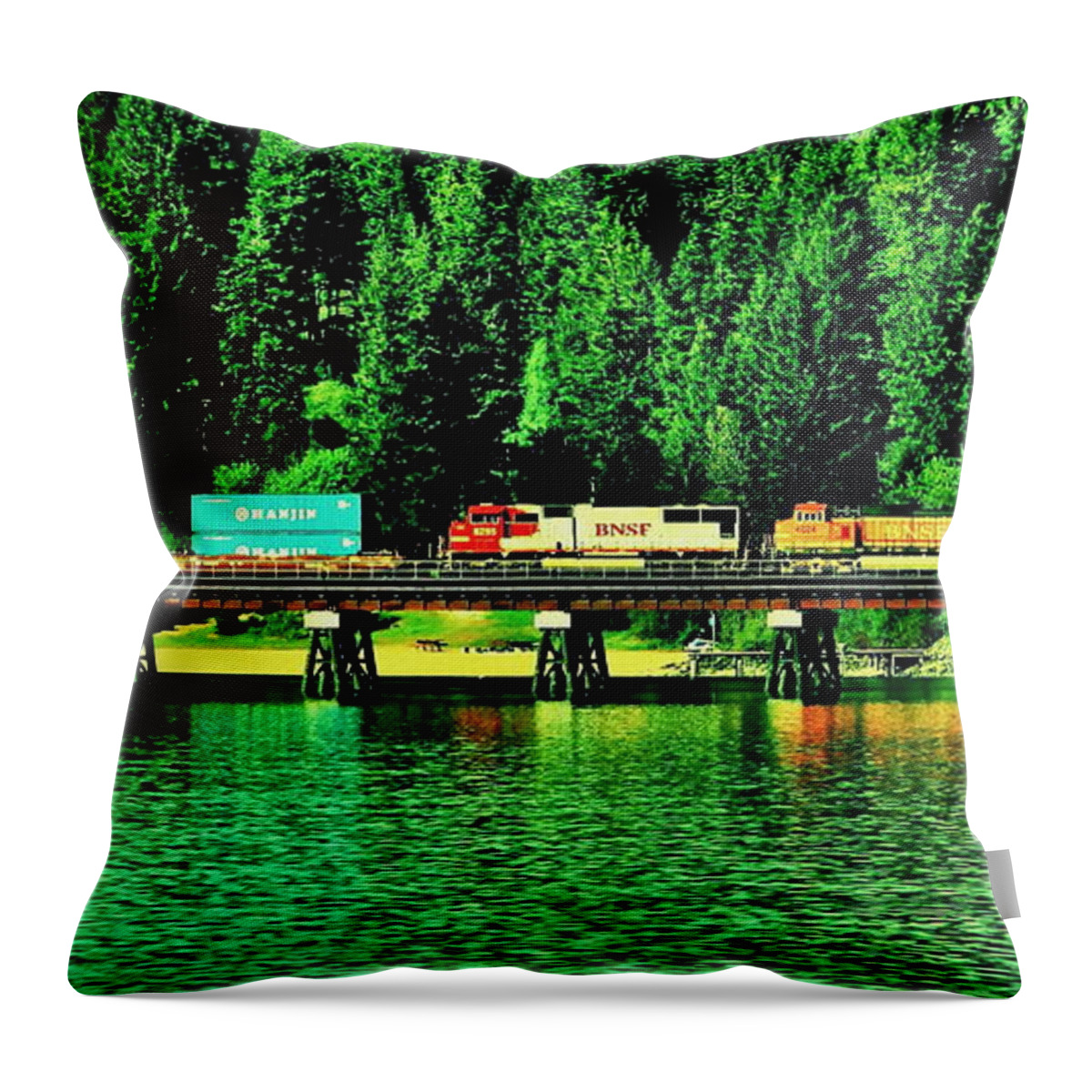 Train Throw Pillow featuring the photograph Burlington Northern by Benjamin Yeager