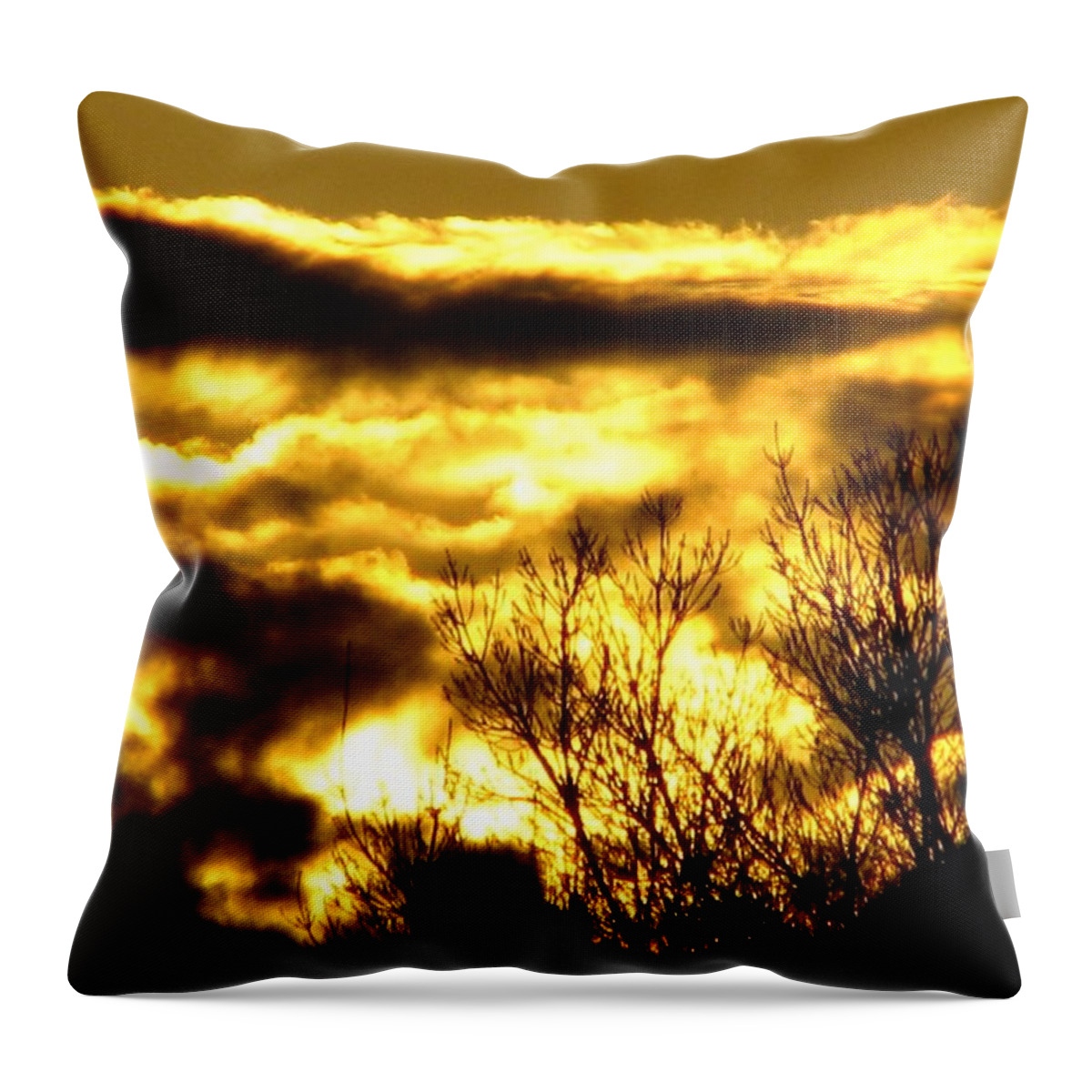 Tree Throw Pillow featuring the photograph Burn by Chris Dunn
