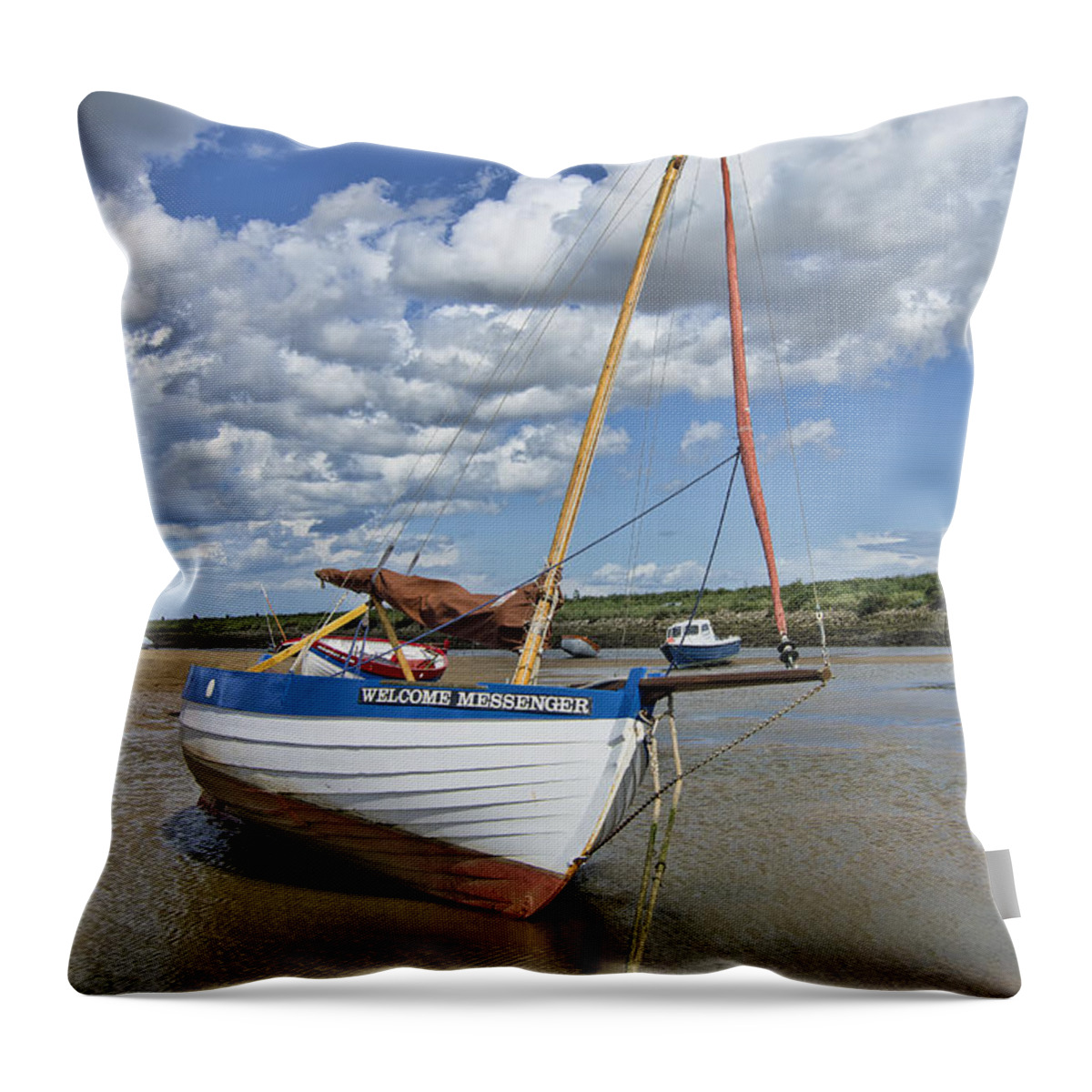 Welcome Messenger Throw Pillow featuring the photograph Burnham Staithe Welcome Messenger by Steev Stamford