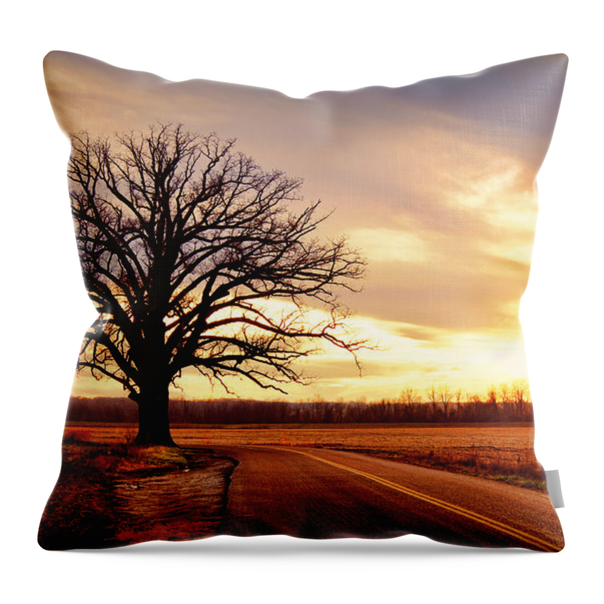 Old Throw Pillow featuring the photograph Burr Oak Silhouette by Cricket Hackmann