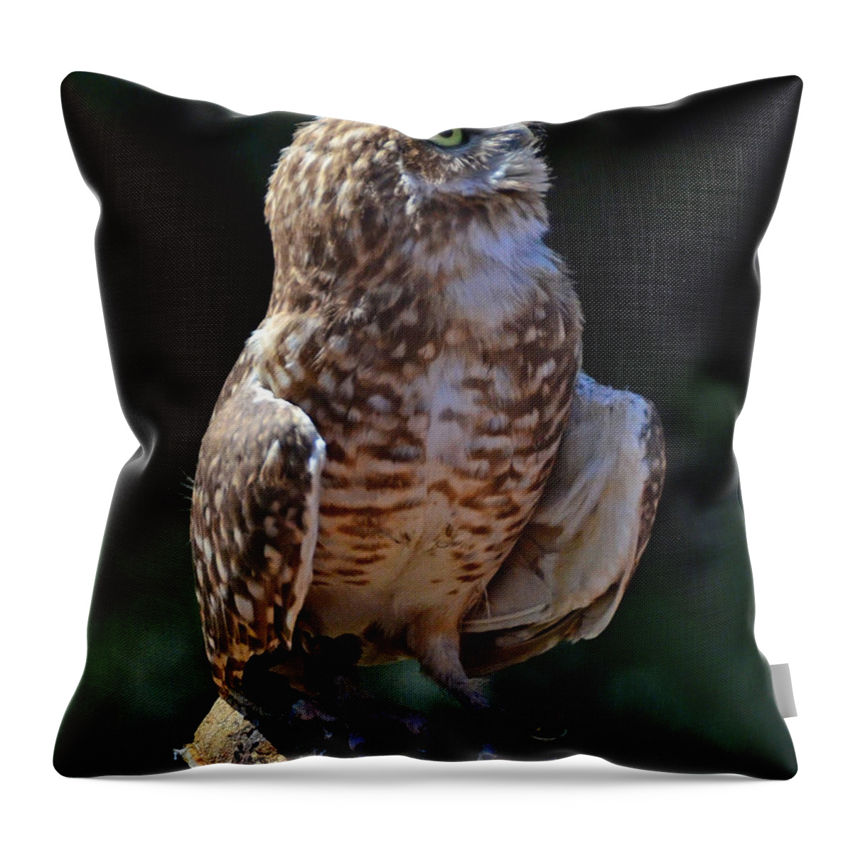 Burrowing Owl Throw Pillow featuring the photograph Burrowing Owl by Debby Pueschel