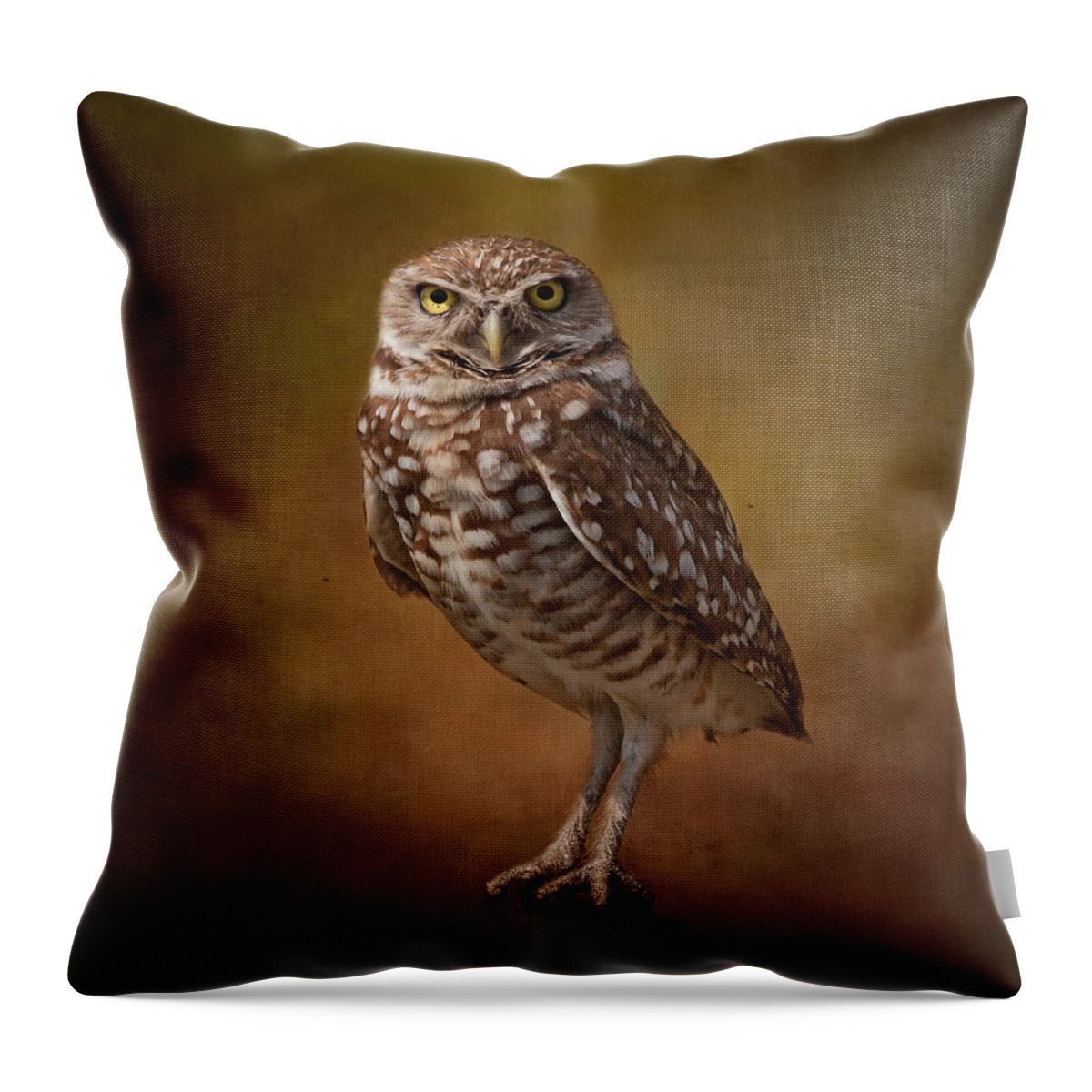 Wildlife Throw Pillow featuring the photograph Burrowing Owl Portrait by Kim Hojnacki