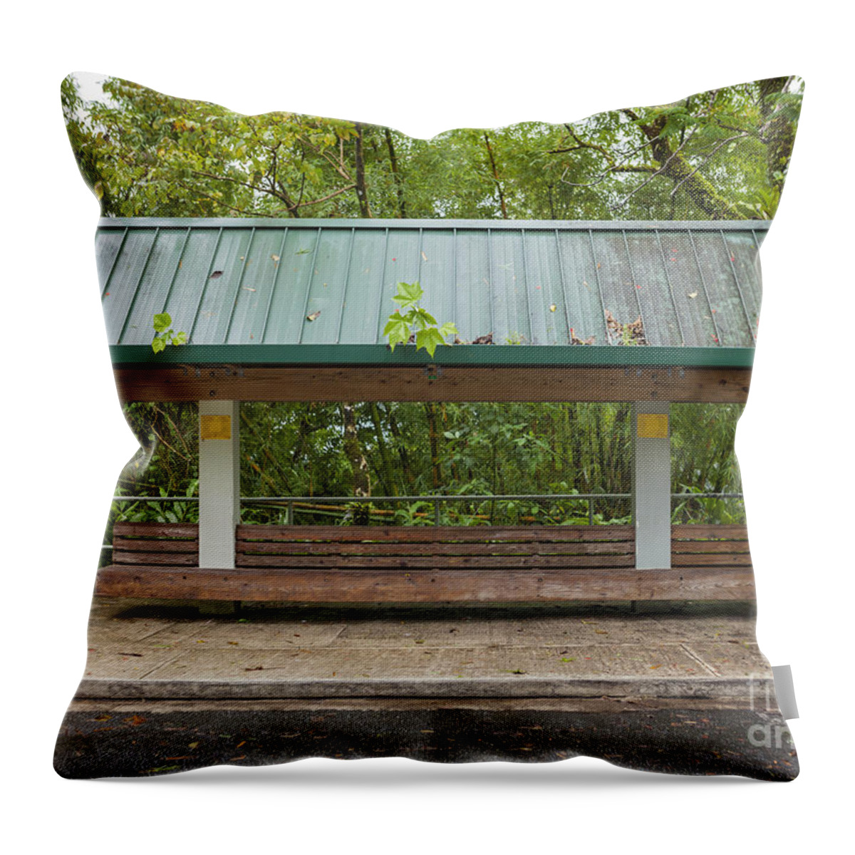 El Yunque Throw Pillow featuring the photograph Bus Stop Bench In The Rainforest by Bryan Mullennix