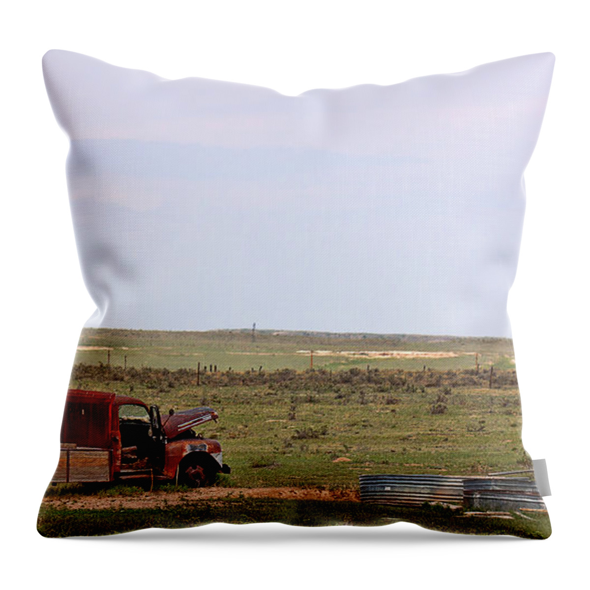 Colorado Plains Throw Pillow featuring the photograph Busted by Jim Garrison