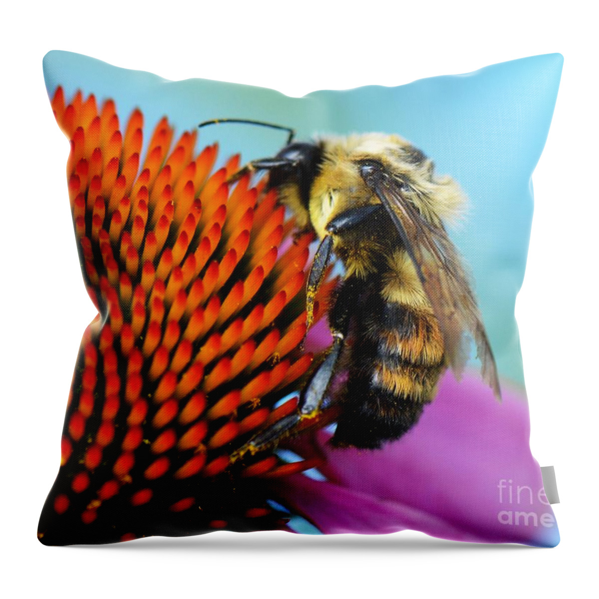 Bee Throw Pillow featuring the photograph Busy Bee by Judy Wolinsky