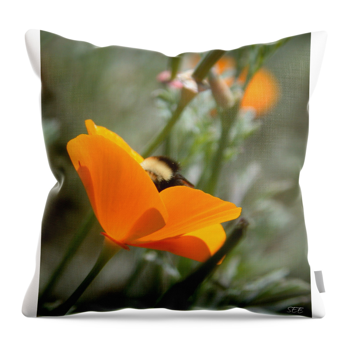 Flowers Throw Pillow featuring the photograph Busy Bumblebee by Susan Eileen Evans