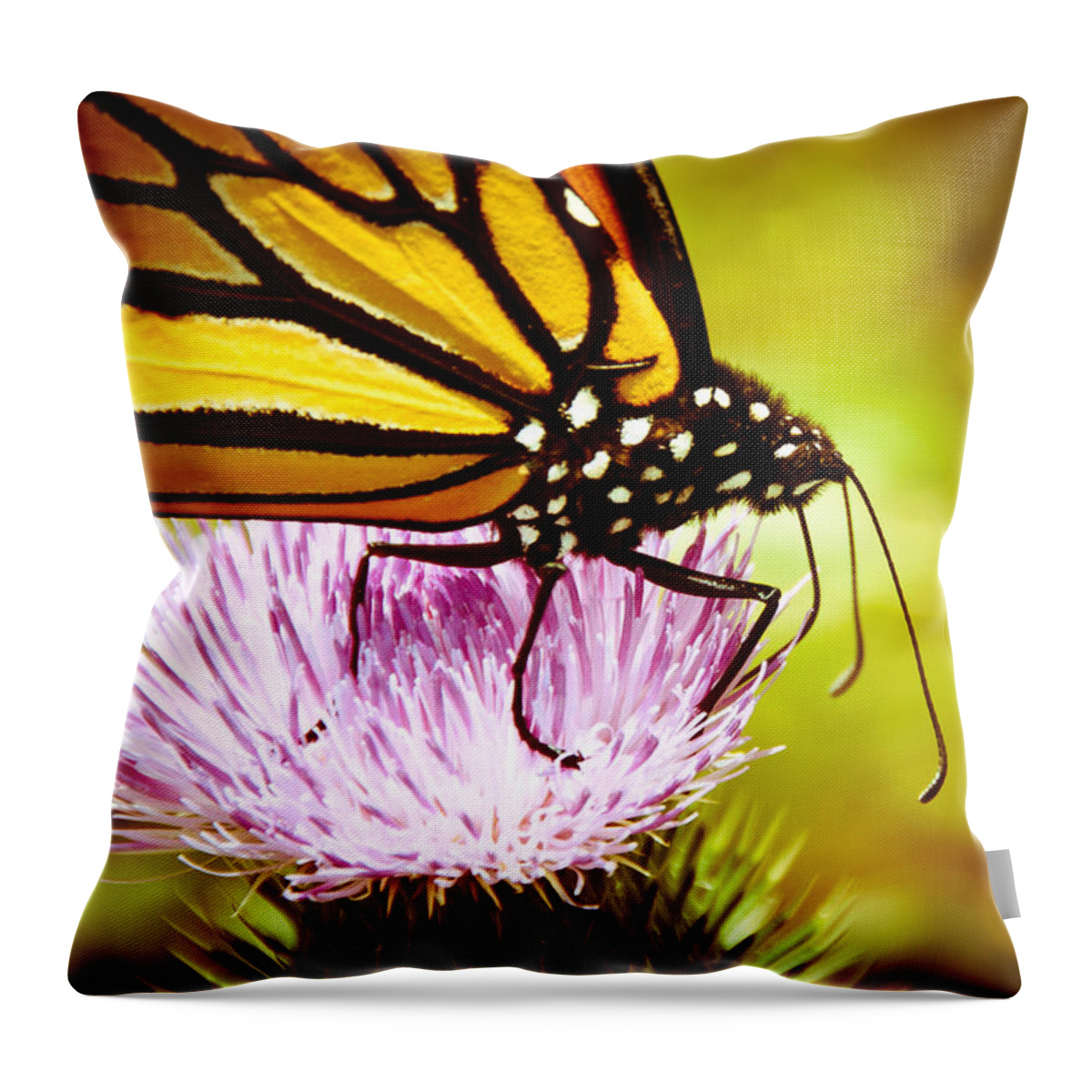 Monarch Throw Pillow featuring the photograph Busy Butterfly by Cheryl Baxter