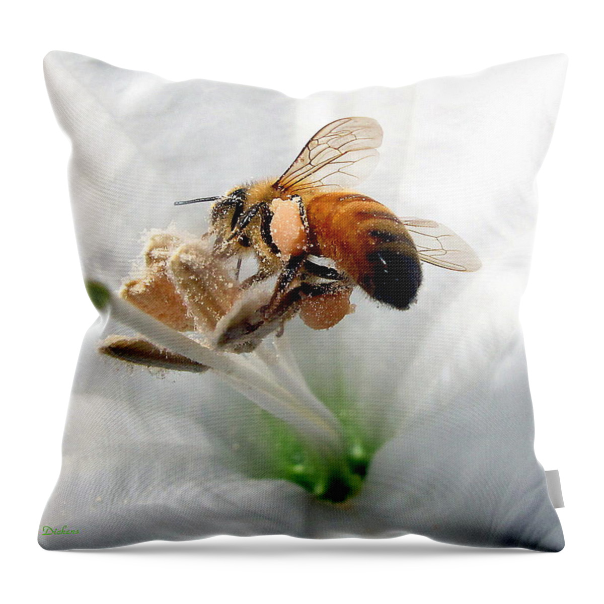 Bee Throw Pillow featuring the photograph Busy by Joyce Dickens