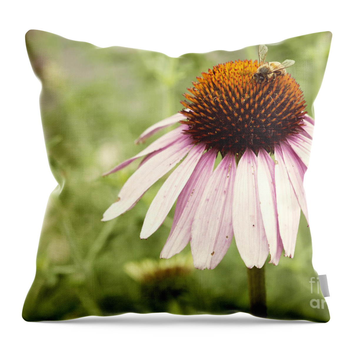 Anthophila Throw Pillow featuring the photograph Busy Little Bee by Juli Scalzi