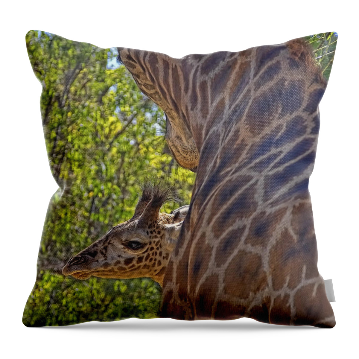 Giraffe Throw Pillow featuring the photograph But Mom I'm Bored by Gary Holmes