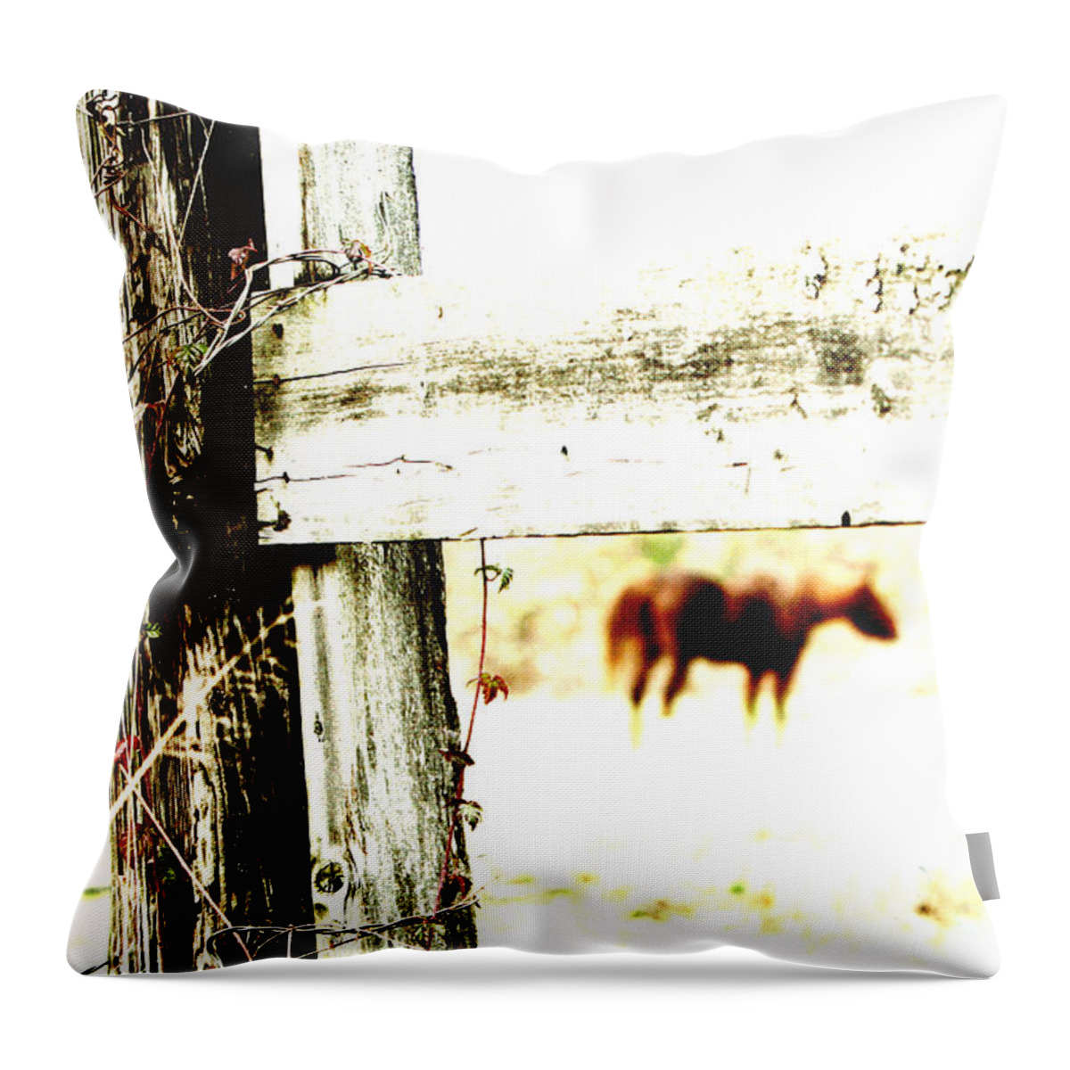 Nature Throw Pillow featuring the photograph But Not Forgotten by Michelle Twohig