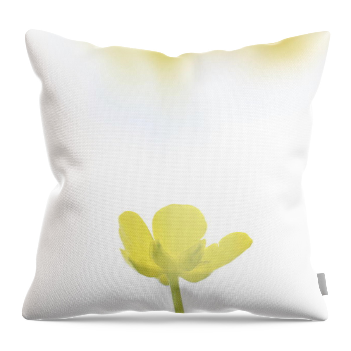Beautiful Throw Pillow featuring the photograph Buttercup bathing in spring sunshine by Ulrich Kunst And Bettina Scheidulin