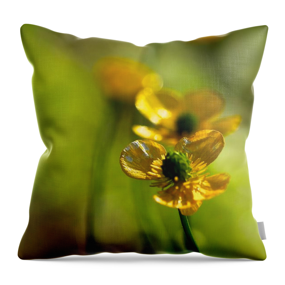 Buttercups Throw Pillow featuring the photograph Buttercups I by Tracy Male