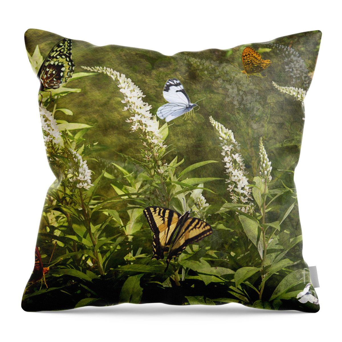 Butterflies Throw Pillow featuring the photograph Butterflies in Golden Garden by Belinda Greb