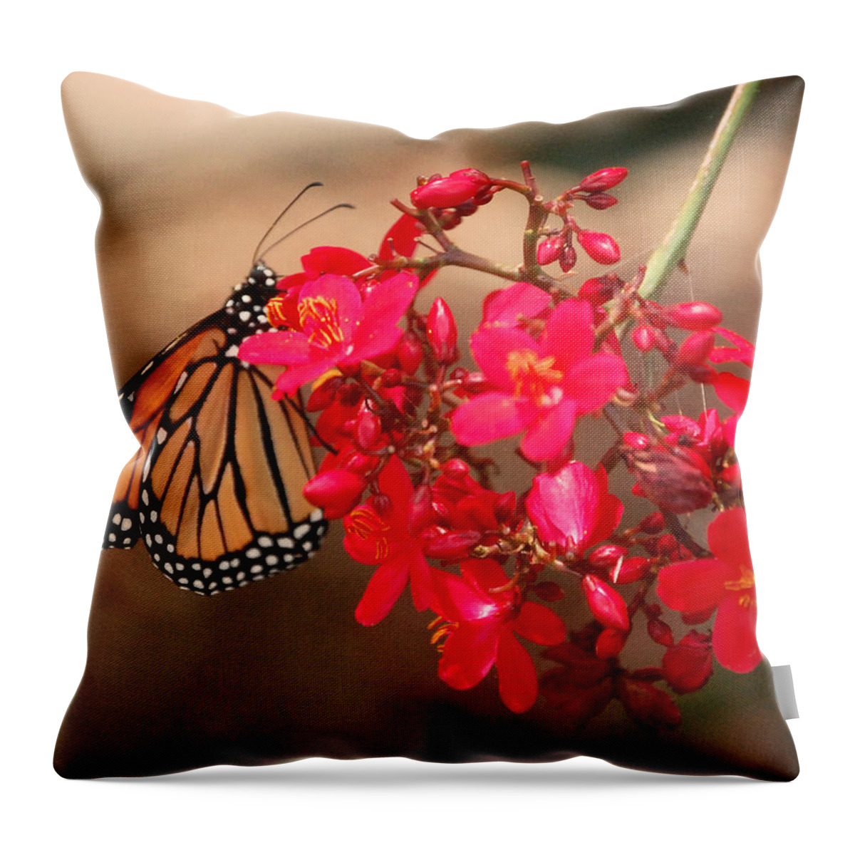 Red Throw Pillow featuring the photograph Butterfly 1 by Leticia Latocki