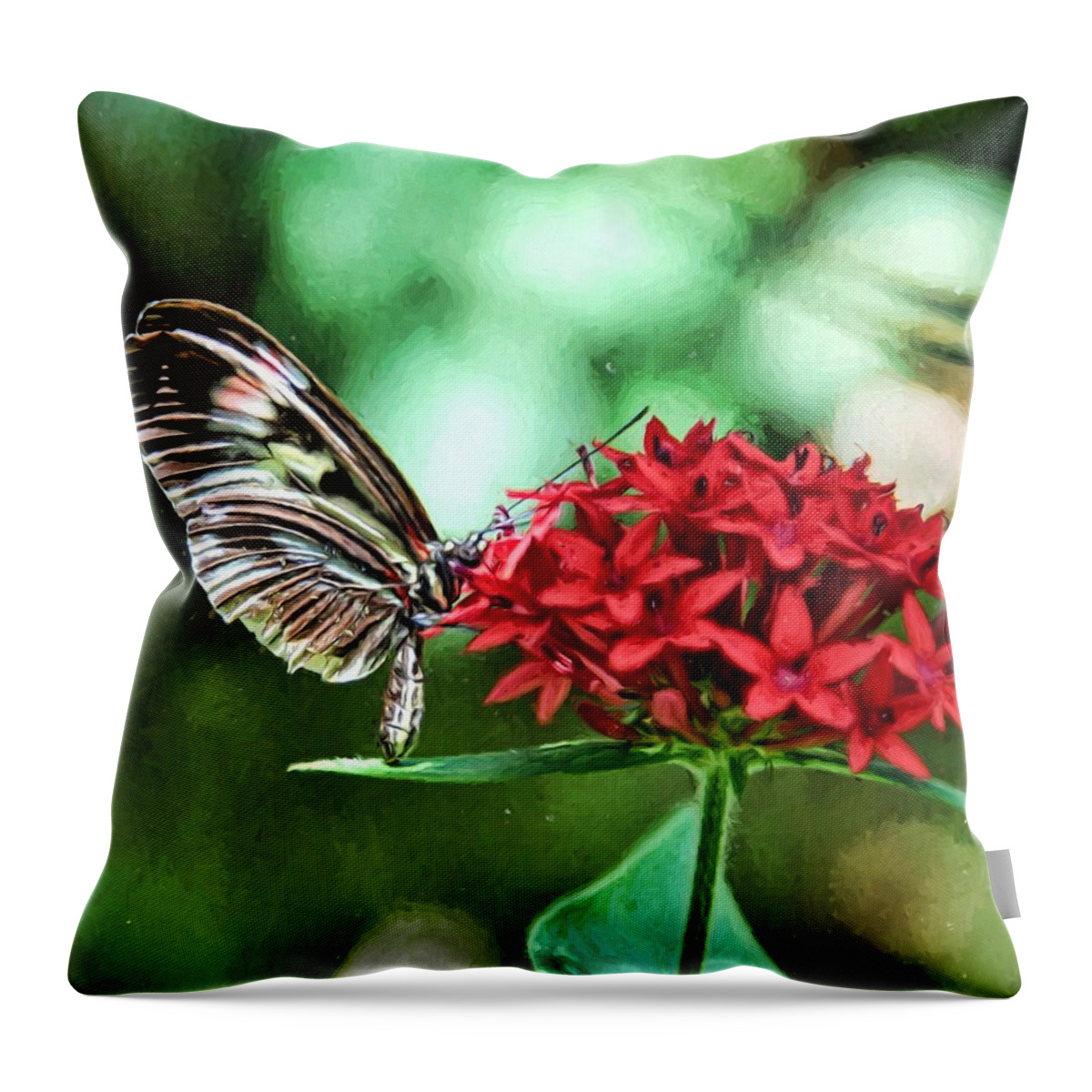 Butterfly Throw Pillow featuring the photograph Butterfly by Bill Howard