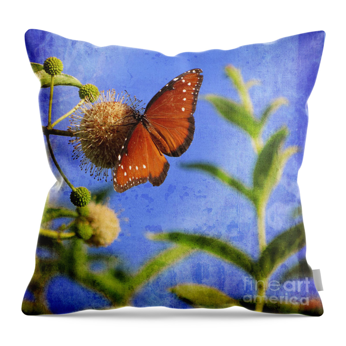 Butterflies Throw Pillow featuring the photograph Butterfly - Bow to the Queen by Ella Kaye Dickey