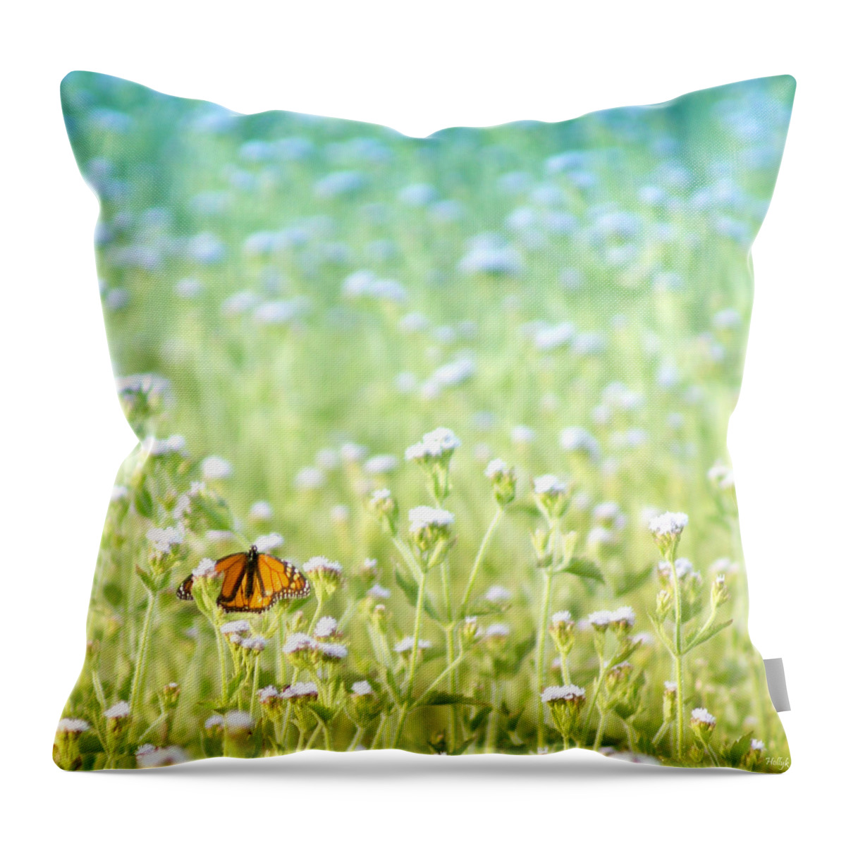 Butterfly Throw Pillow featuring the photograph Butterfly Dreams by Holly Kempe