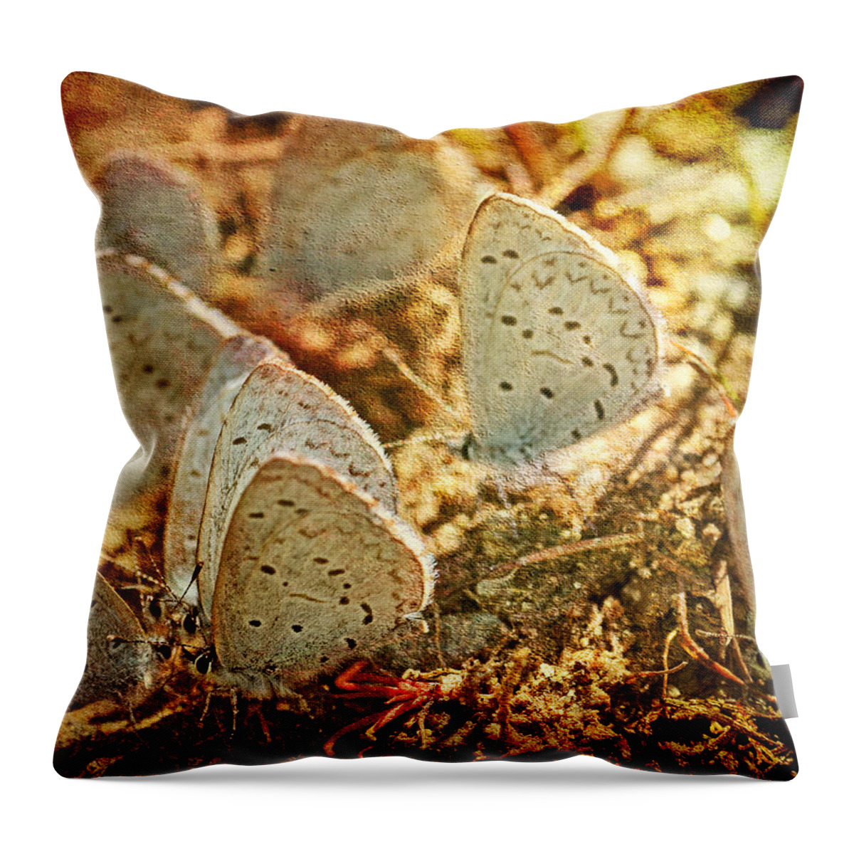 Butterflies Throw Pillow featuring the photograph Butterfly Gathering by Peggy Collins