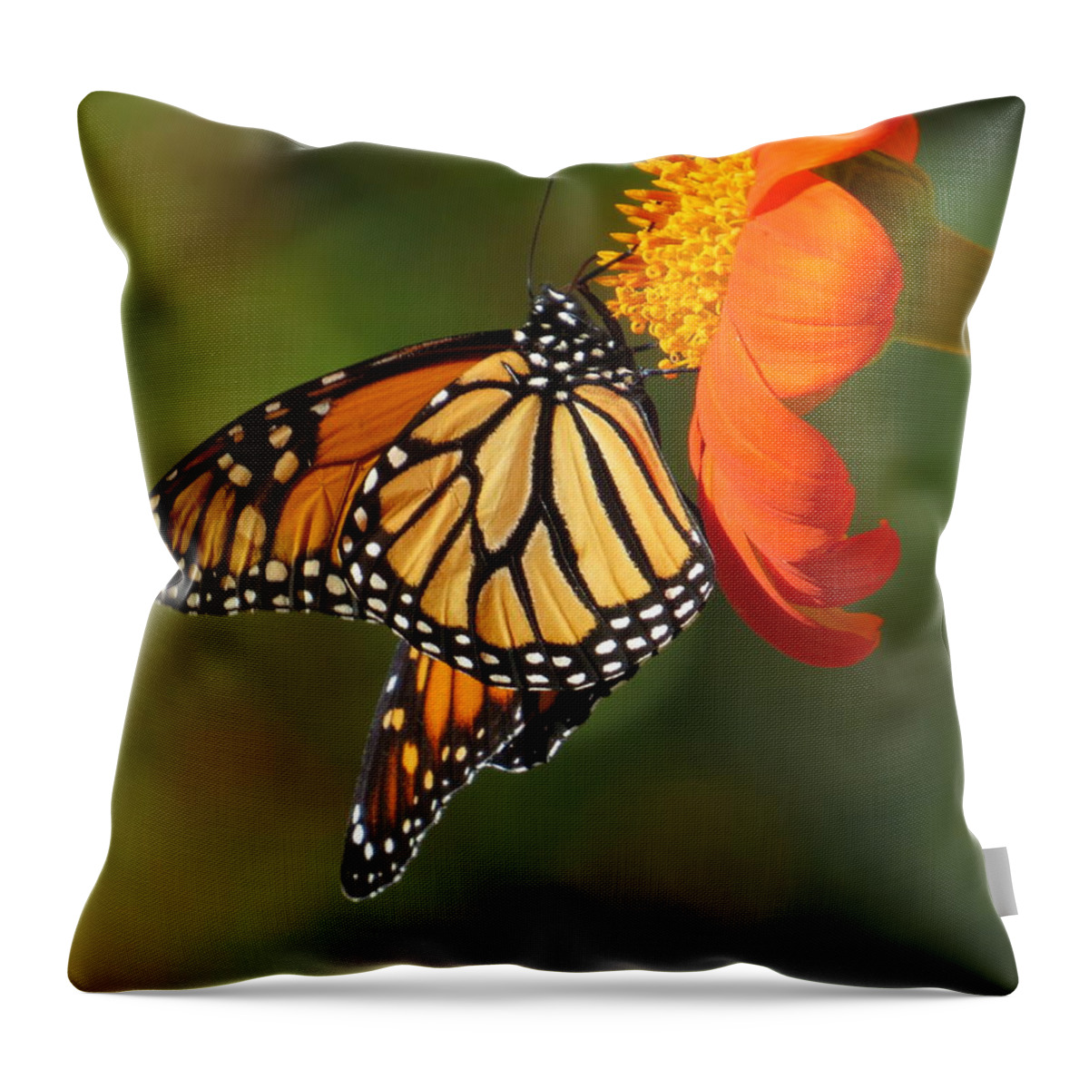 Flower Throw Pillow featuring the photograph Butterfly Kiss 2 by Jeanette Oberholtzer