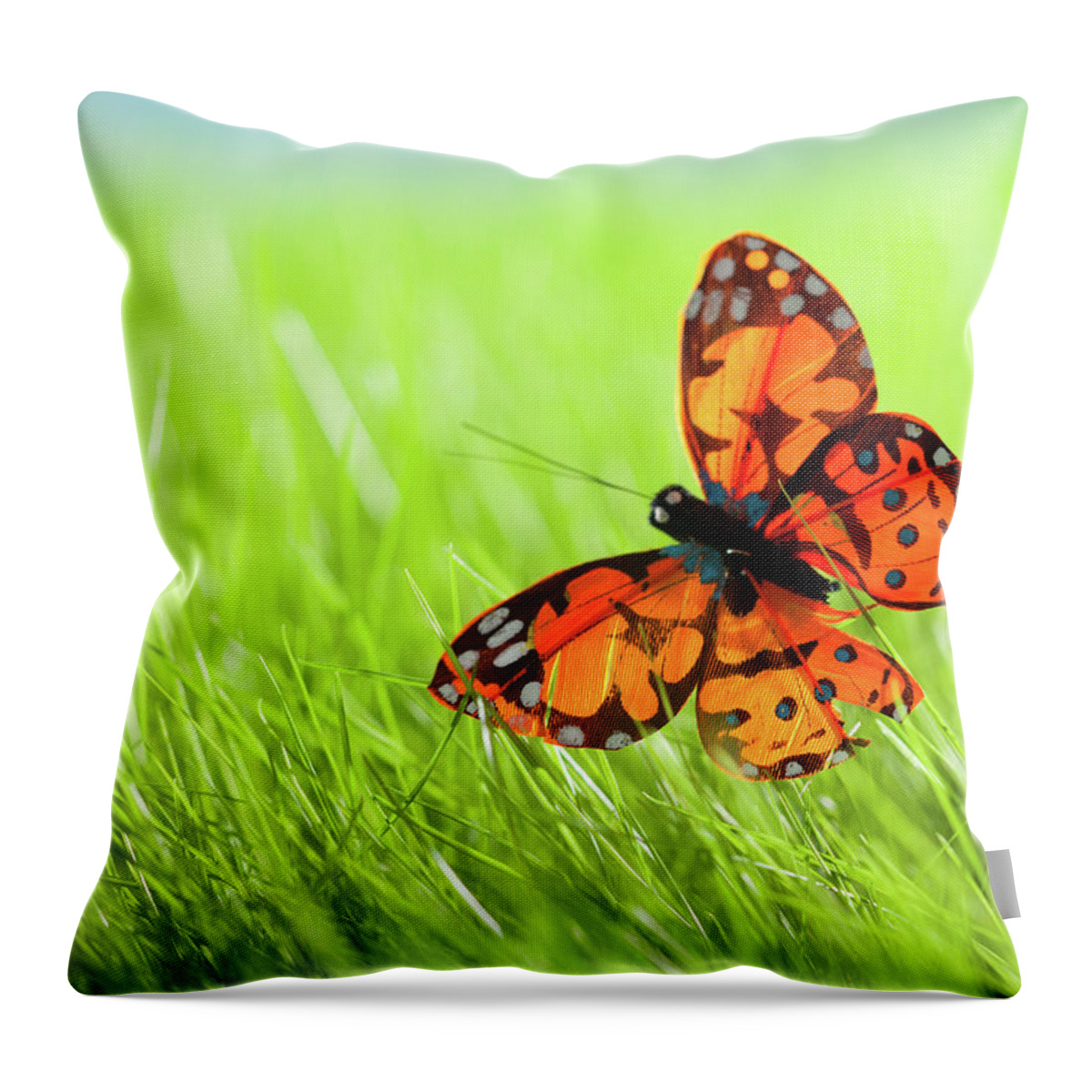 Grass Throw Pillow featuring the photograph Butterfly by Nadyaphoto
