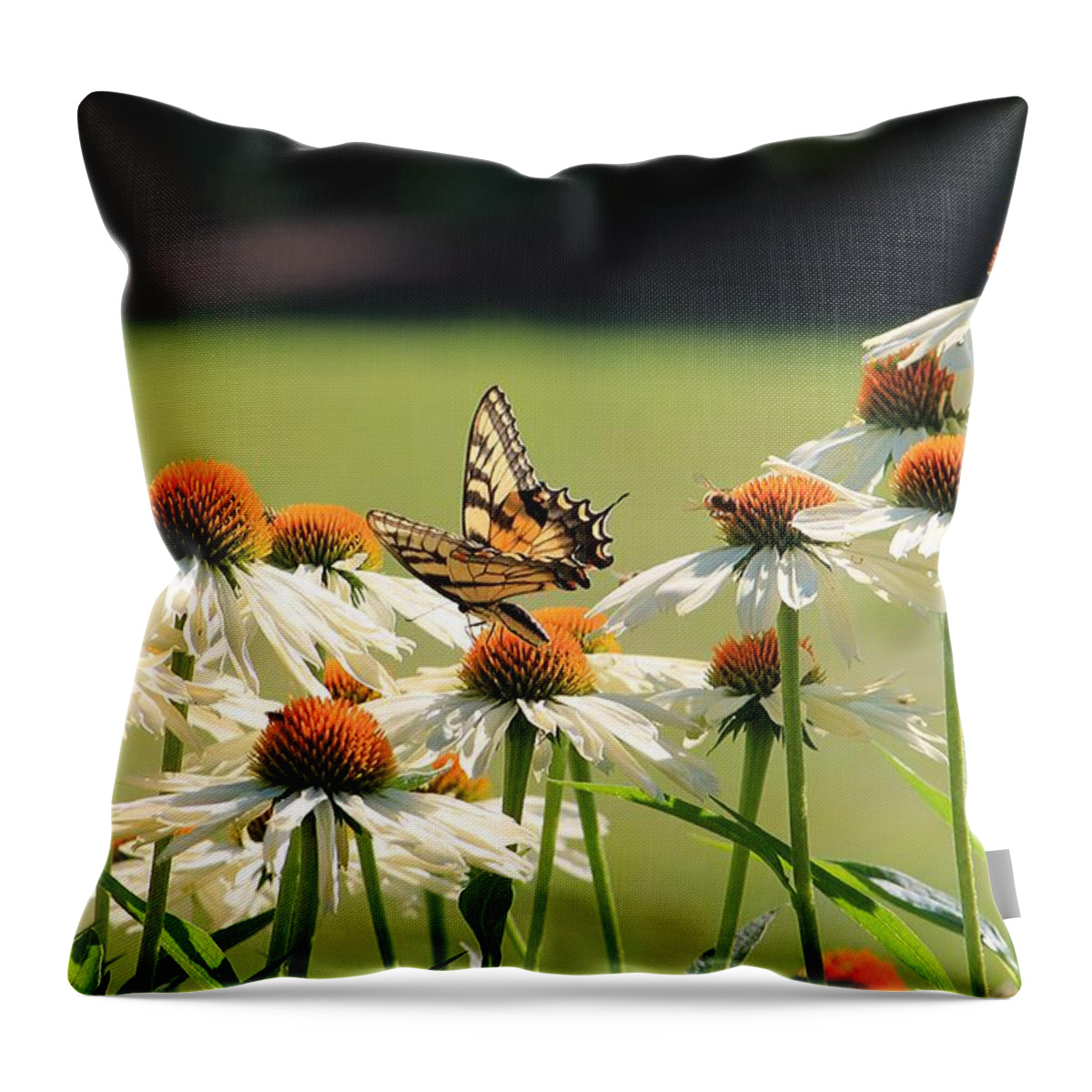 Butterfly Throw Pillow featuring the photograph Butterfly on Echinacea by Michael Saunders