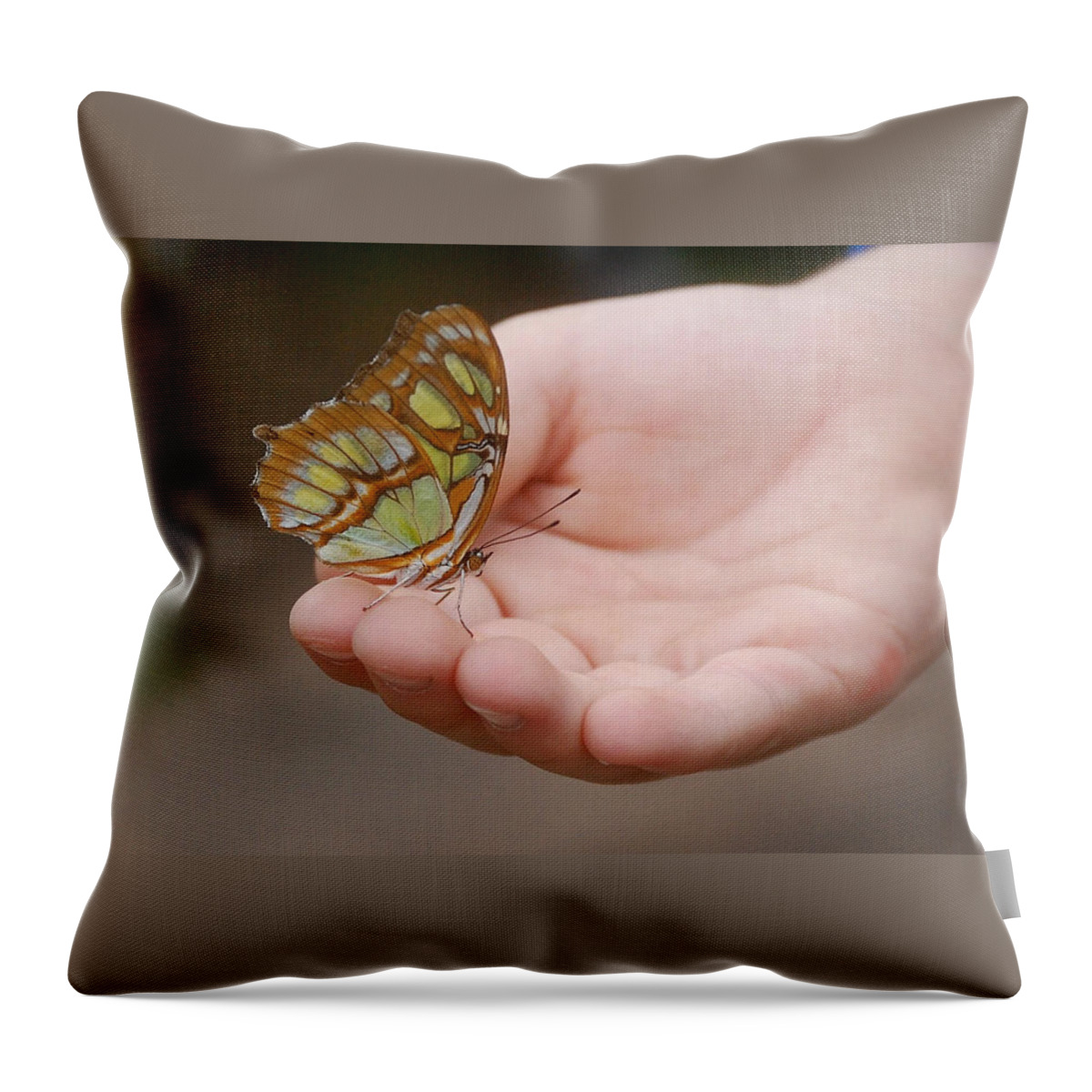 Hand Throw Pillow featuring the photograph Butterfly on Hand by Leticia Latocki
