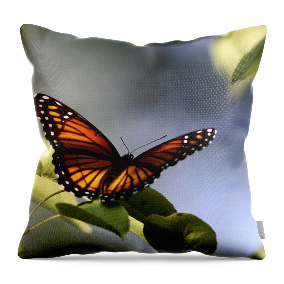 Viceroy Throw Pillow featuring the photograph Butterfly - Soaking up the Sun by Travis Truelove