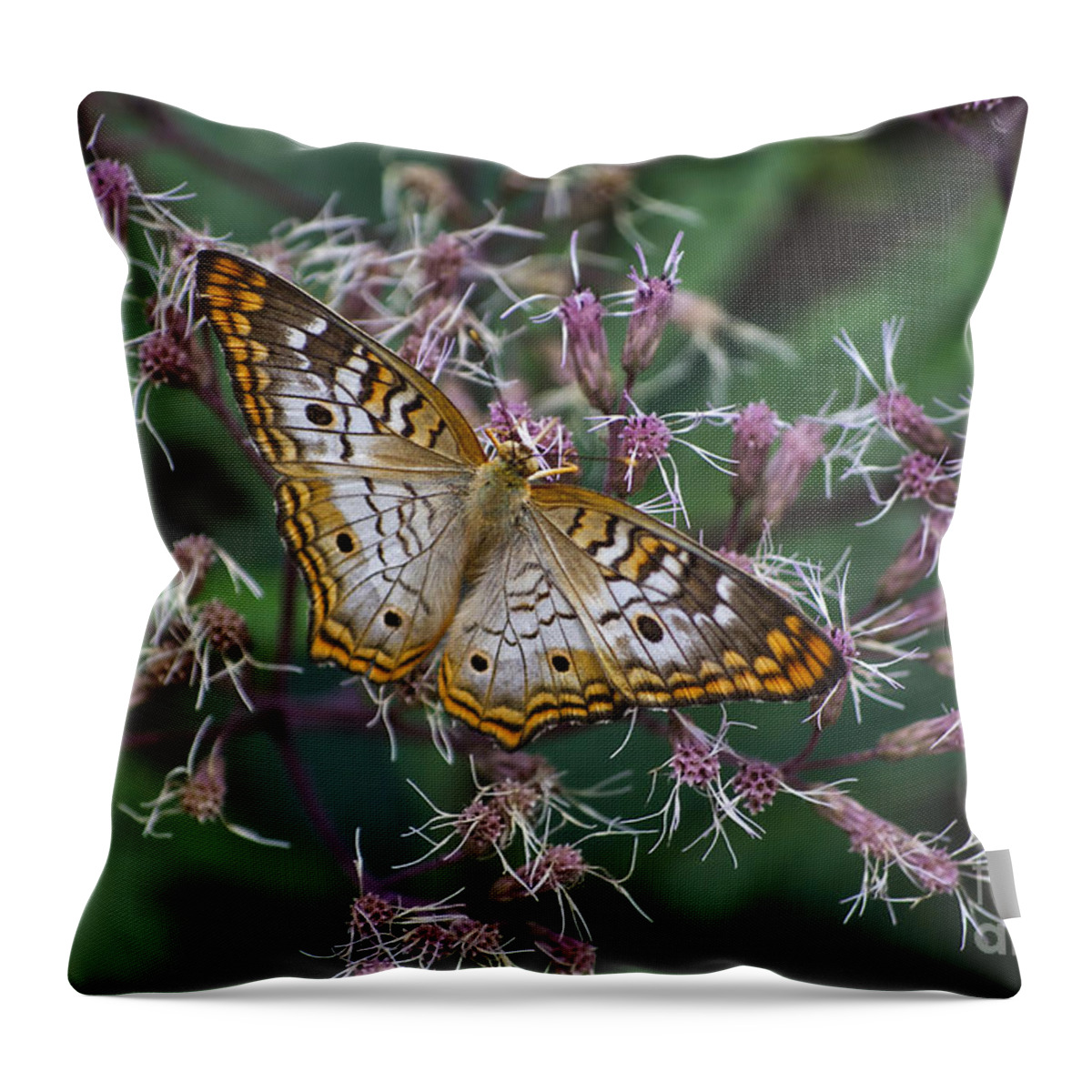 Il Throw Pillow featuring the photograph Butterfly Soft Landing by Thomas Woolworth