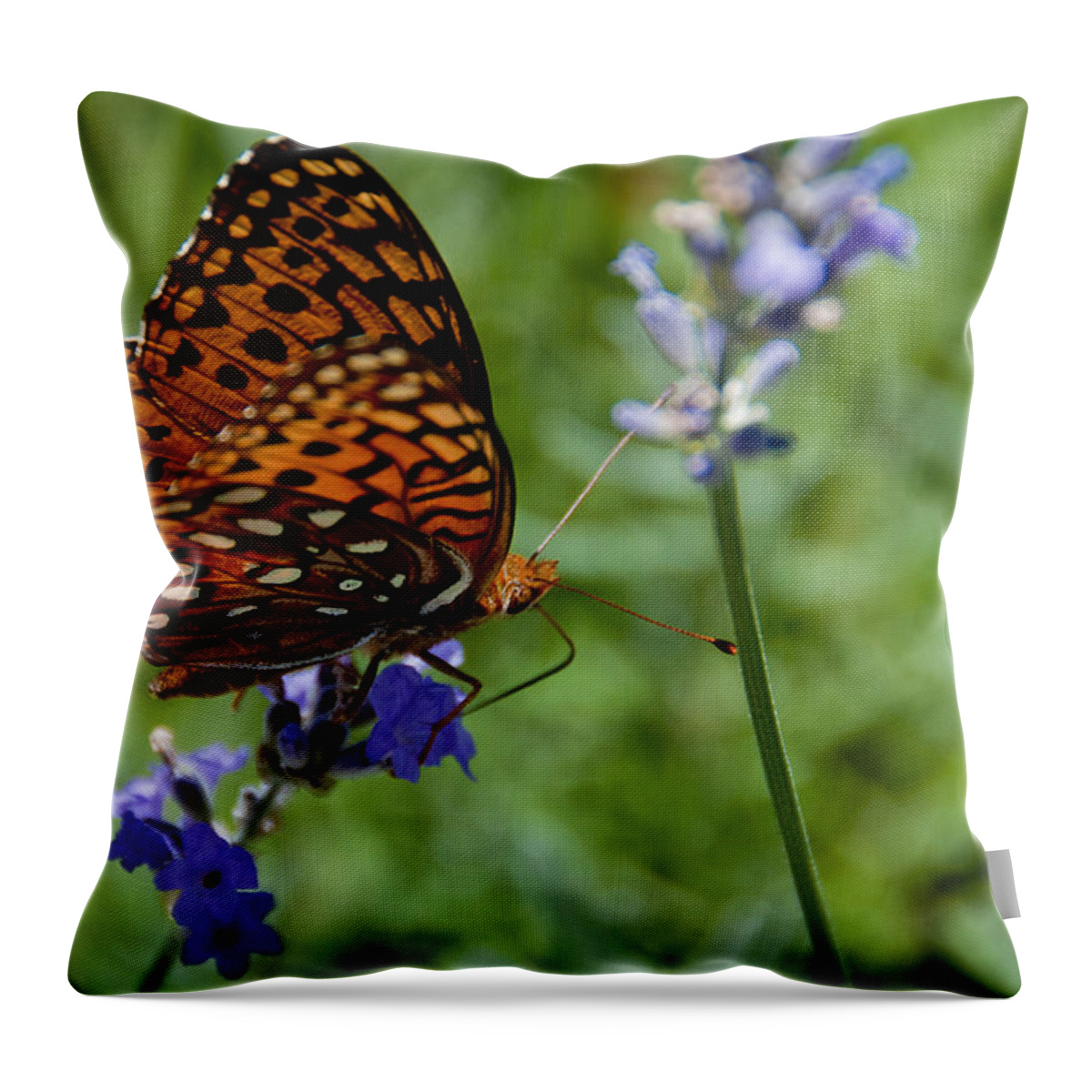 Butterfly Throw Pillow featuring the photograph Butterfly Visit by Ron White