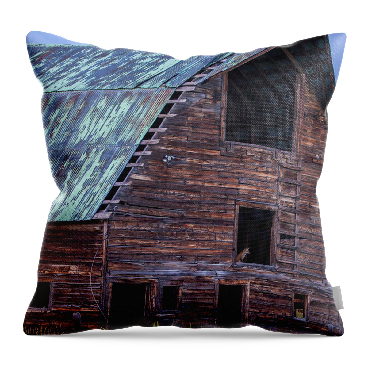 Fox Throw Pillow featuring the photograph Butterfly Watch by Kevin Dietrich