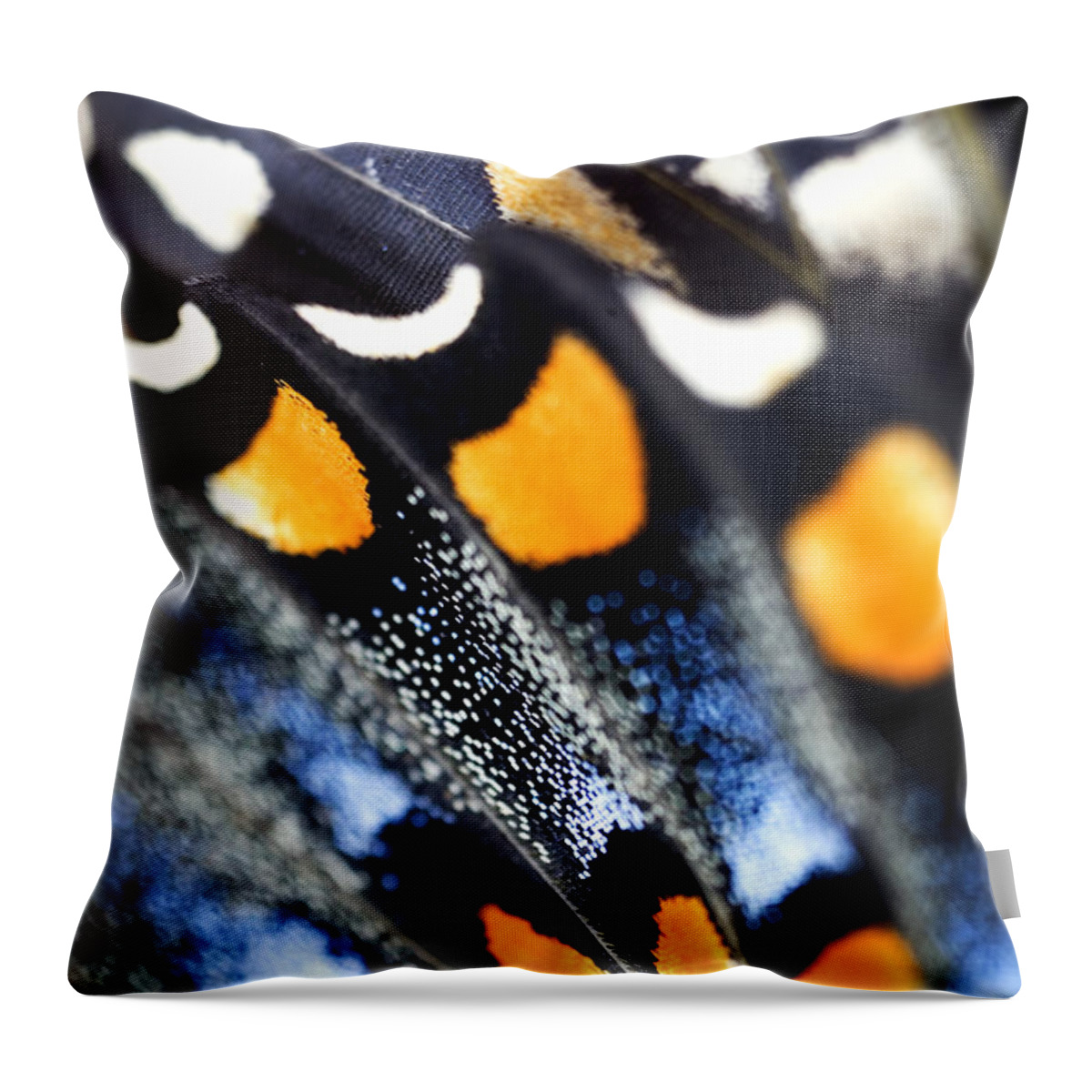 Colorful Throw Pillow featuring the photograph Butterfly Wings by Iris Richardson