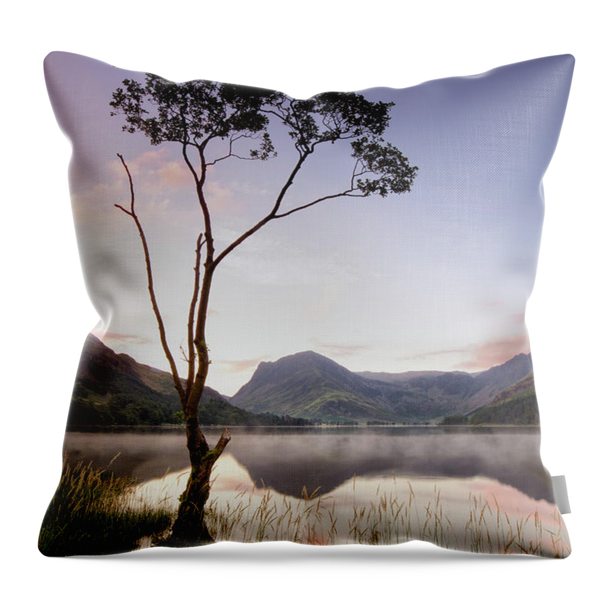 Scenics Throw Pillow featuring the photograph Buttermere Tree by Phil Buckle