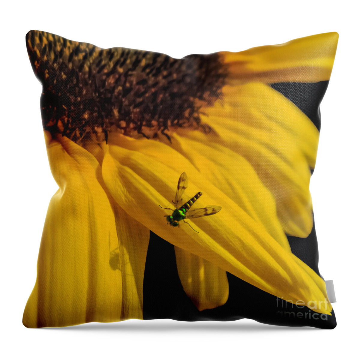 Sunflower Throw Pillow featuring the photograph Buzz Off by Charlie Cliques