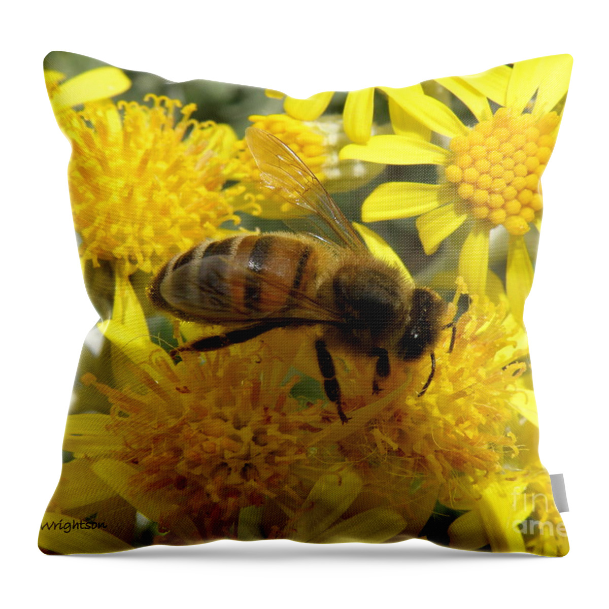 Bee Throw Pillow featuring the photograph Buzzzzzy by Lainie Wrightson