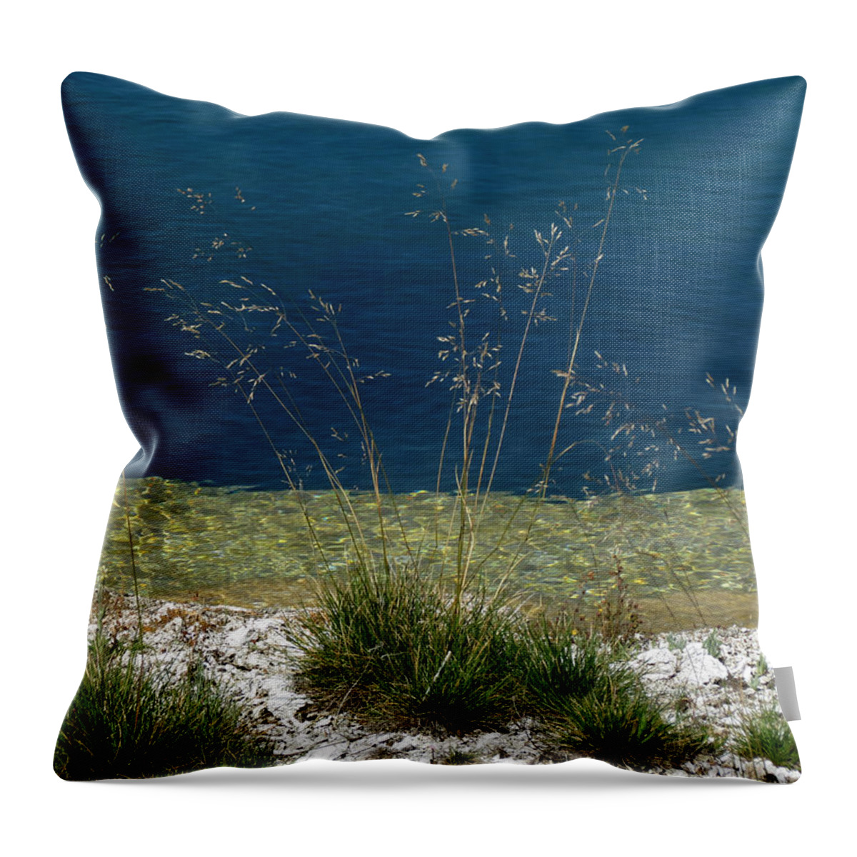 Yellowstone National Park Throw Pillow featuring the photograph By the Water by Laurel Powell