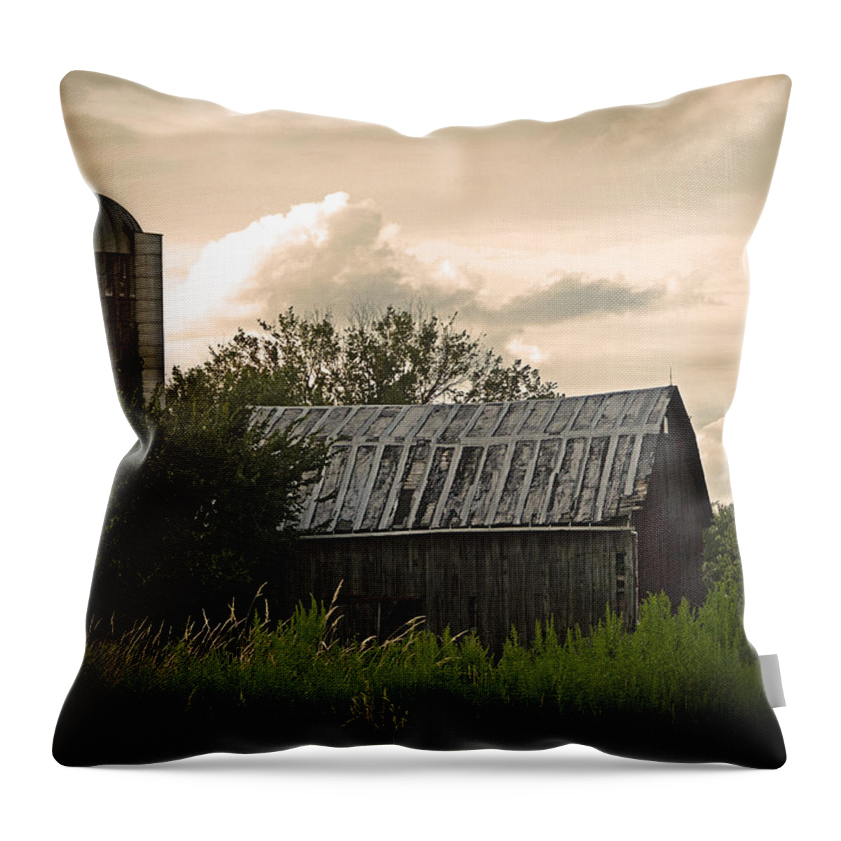 Landscape Throw Pillow featuring the photograph Bygone Times by Lena Wilhite