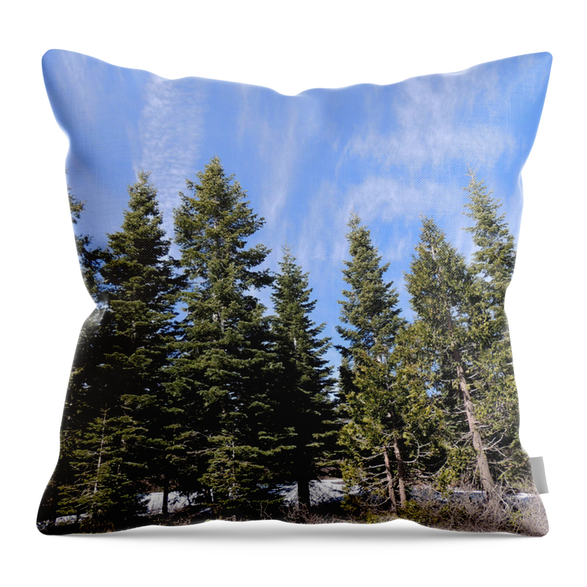 Landscape Throw Pillow featuring the photograph Ca I-80 3346 by Andrew Chambers