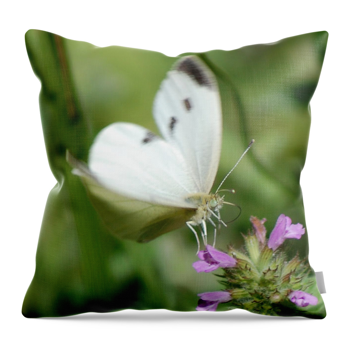 Cabbage White Butterfly Throw Pillow featuring the photograph Cabbage White Dancing on Her Toes by Susan Stevens Crosby
