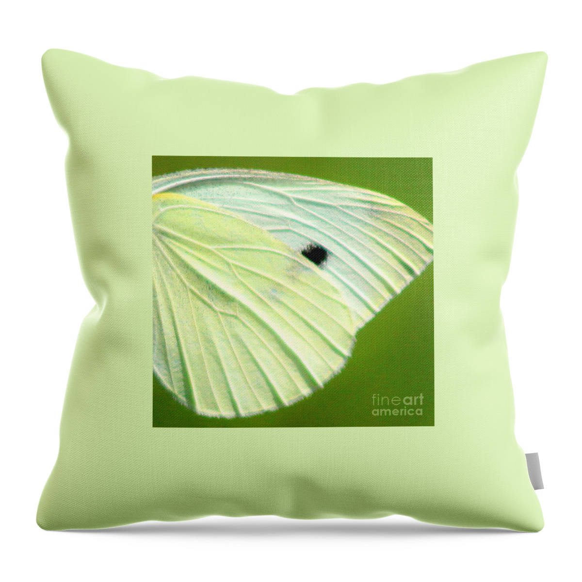 Butterfly Throw Pillow featuring the photograph Cabbage White Butterfly Wing Square by Karen Adams