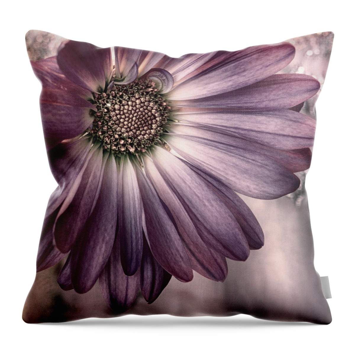 Floral Throw Pillow featuring the photograph Cabernet Sauvignon by Darlene Kwiatkowski