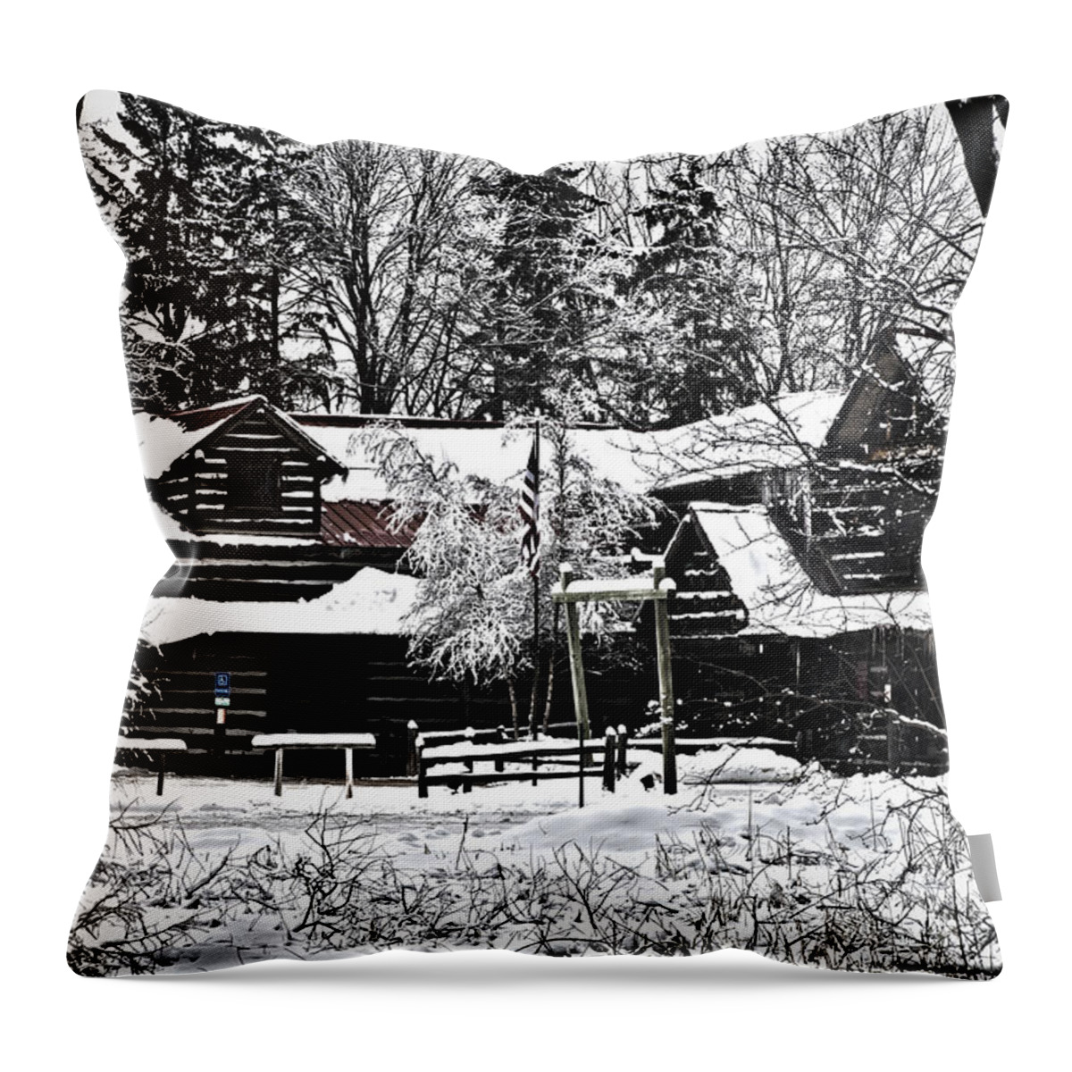 Log Cabin Throw Pillow featuring the photograph Cabin in the woods by Deborah Klubertanz