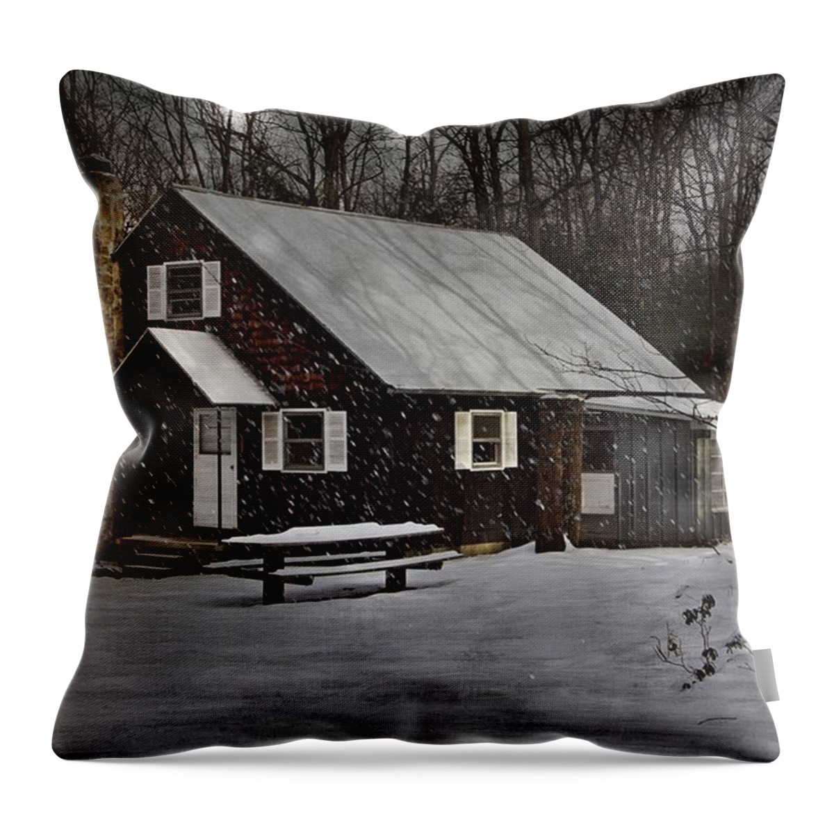 Cabin Throw Pillow featuring the photograph Cabin In The Woods by Stephanie Calhoun